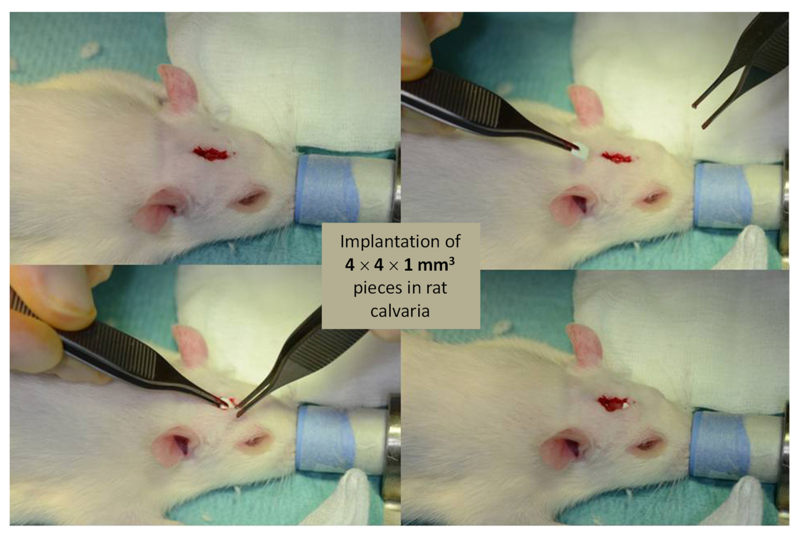 Bioengineering 10 00220 g011