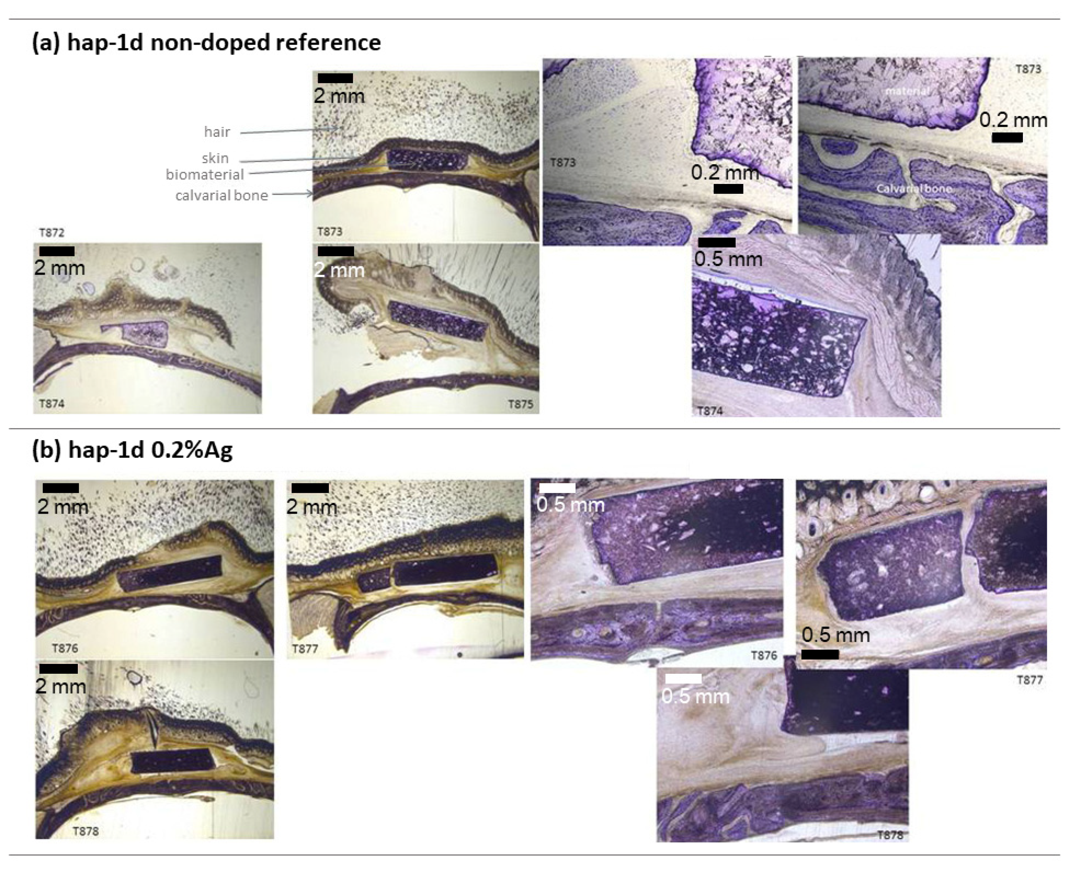 Bioengineering 10 00220 g012