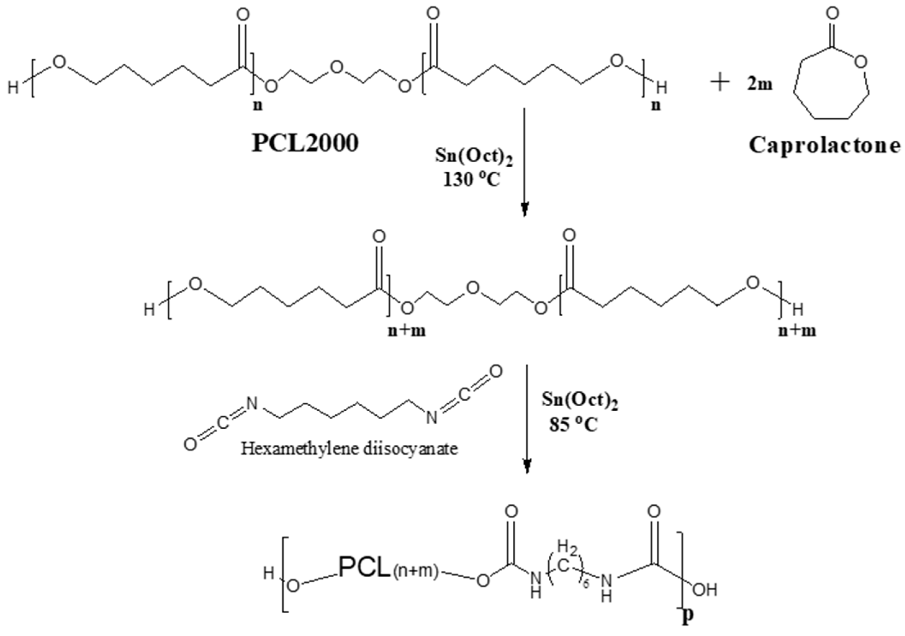 Bioengineering 10 00221 g002 550