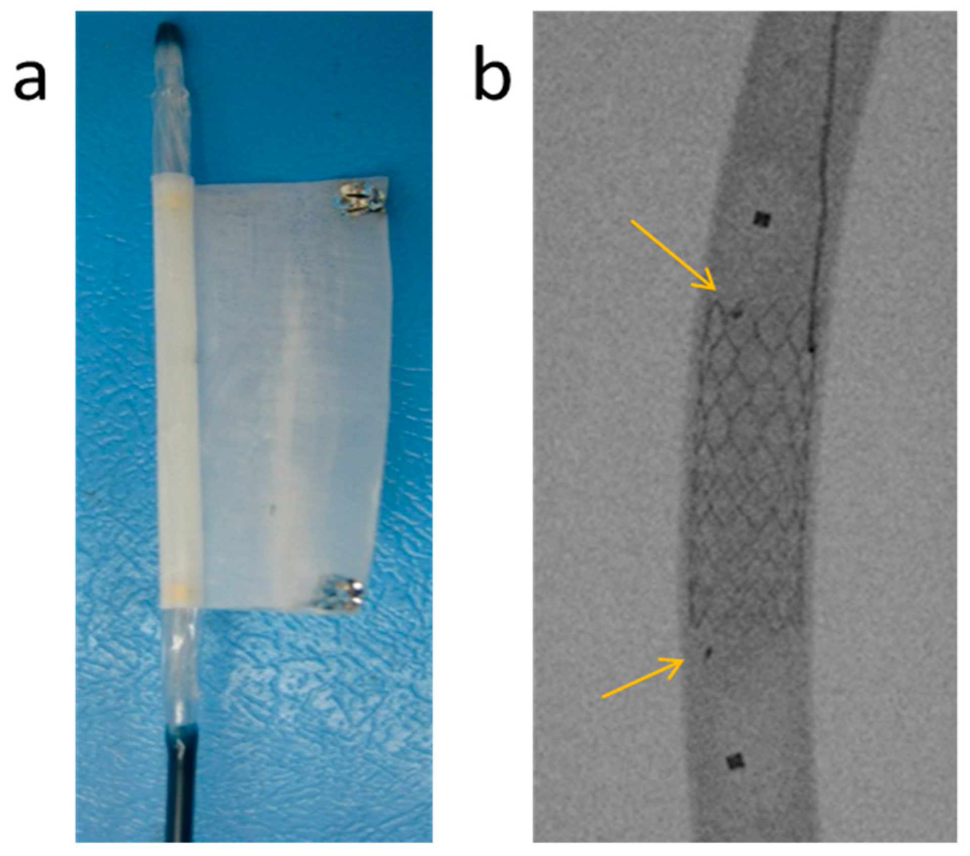 Bioengineering 10 00221 g007 550