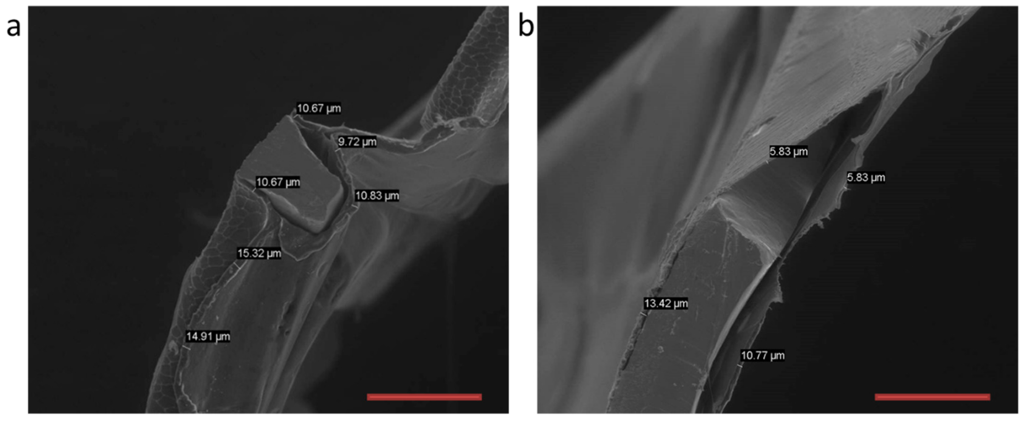 Bioengineering 10 00221 g008 550
