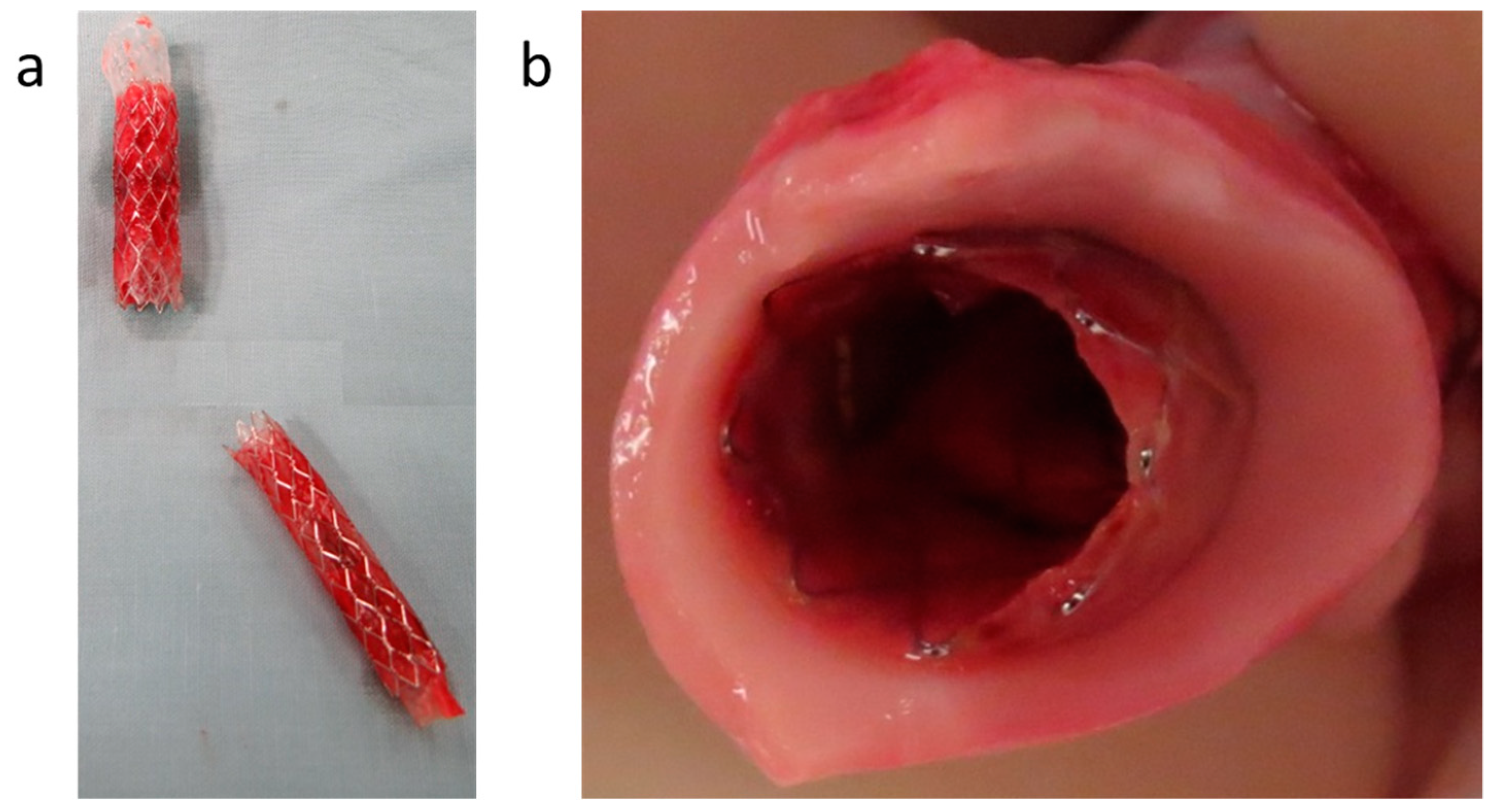 Bioengineering 10 00221 g012 550