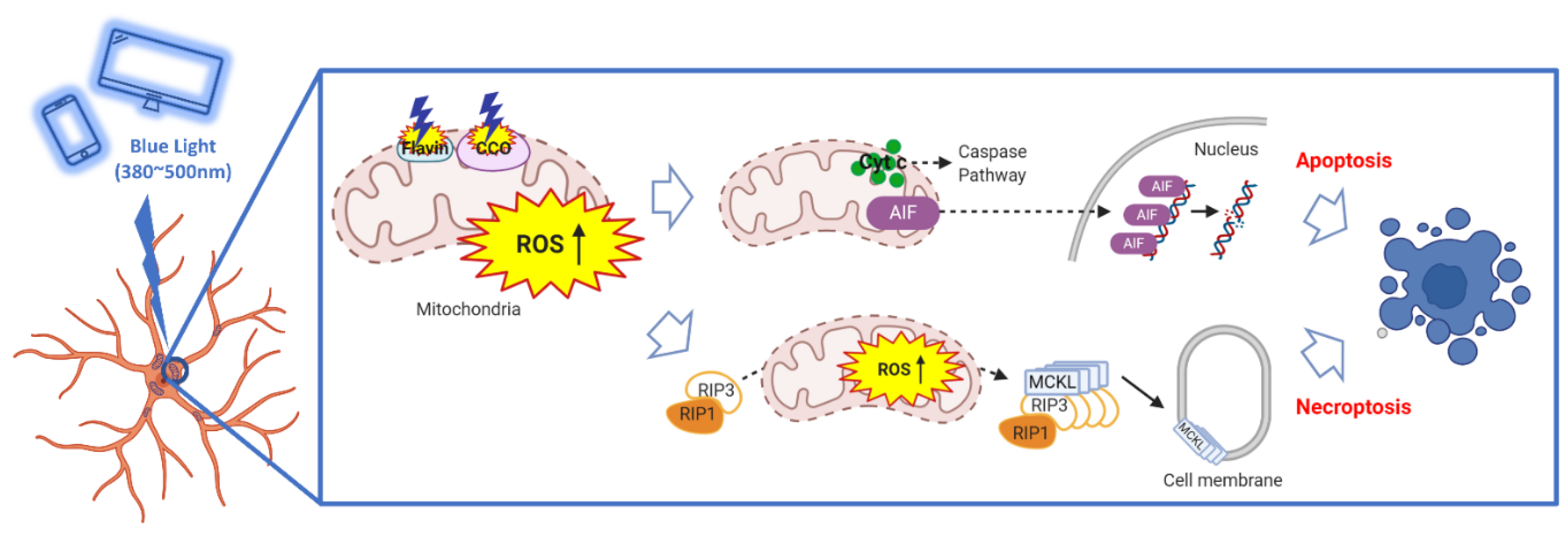 Bioengineering 10 00223 g002
