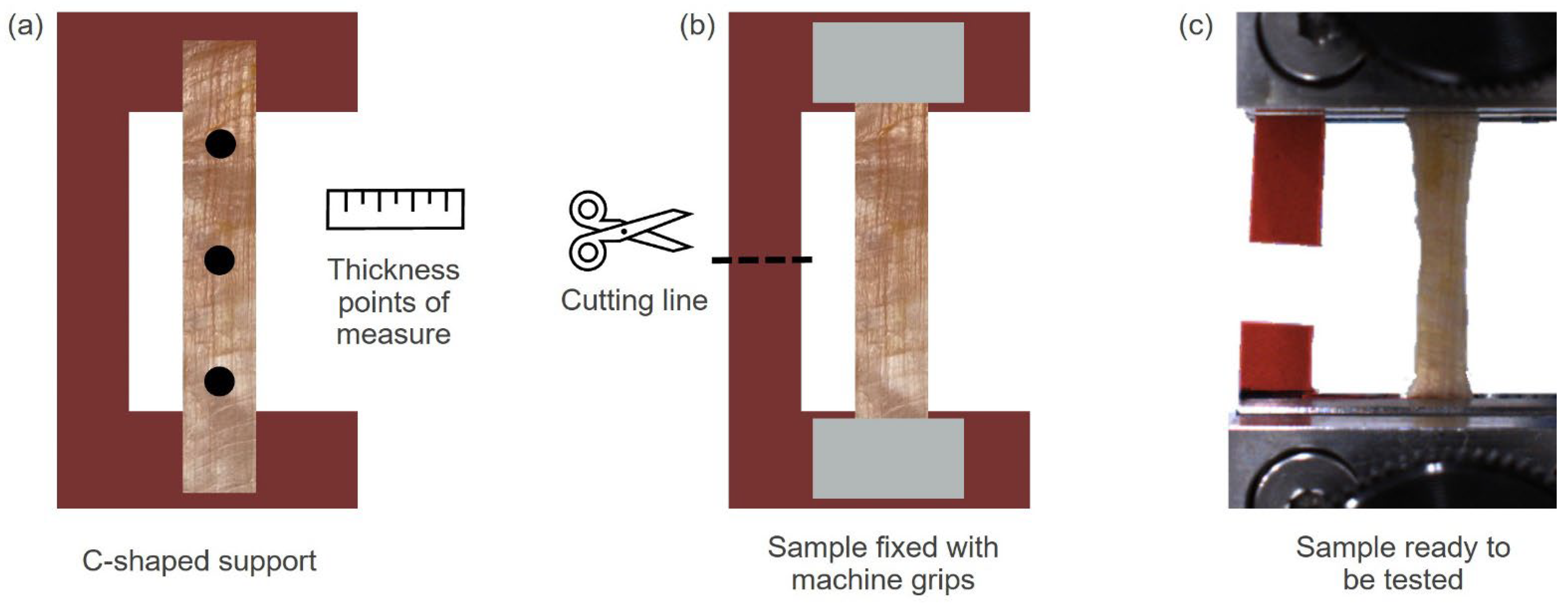 Bioengineering 10 00226 g002 550