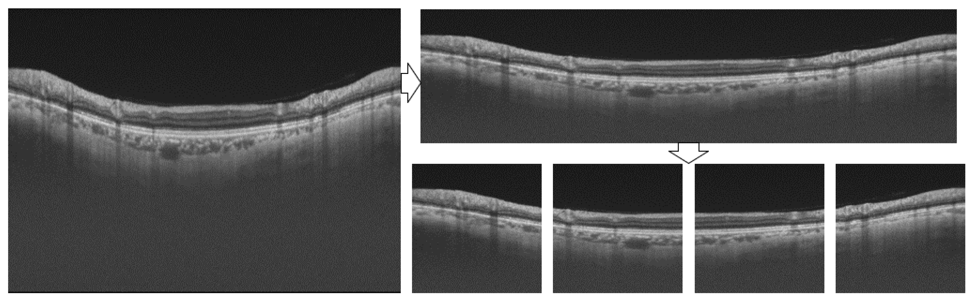 Bioengineering 10 00230 g004 Bioengineering 10 00230 g004