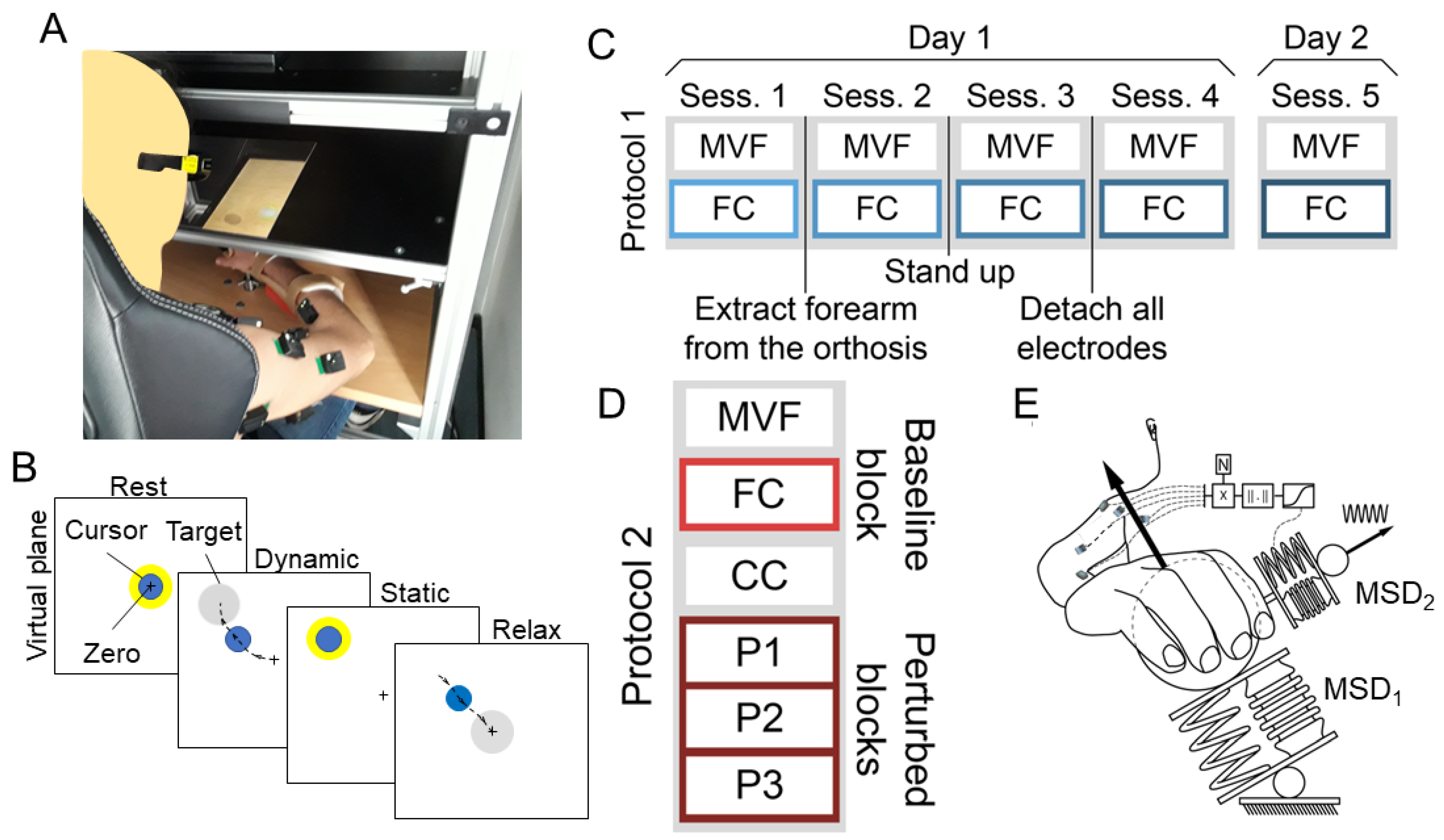 Bioengineering 10 00234 g001
