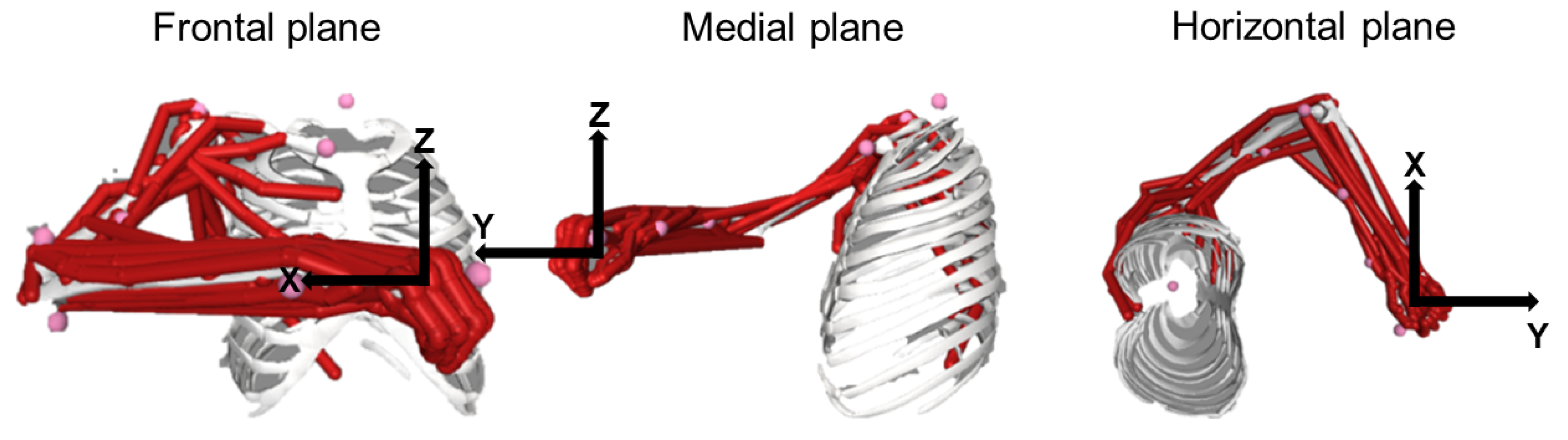 Bioengineering 10 00234 g002