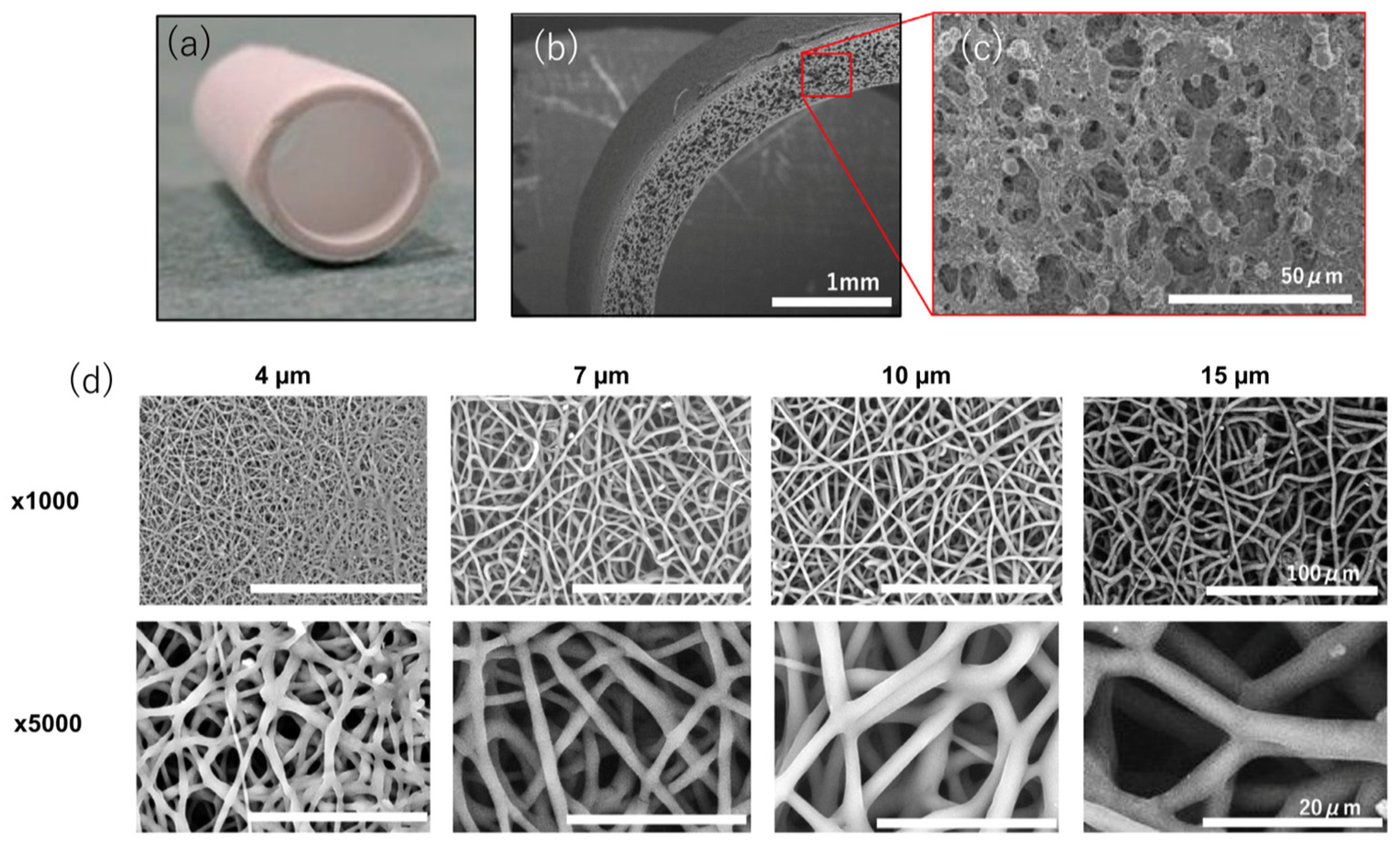Bioengineering 10 00236 g001