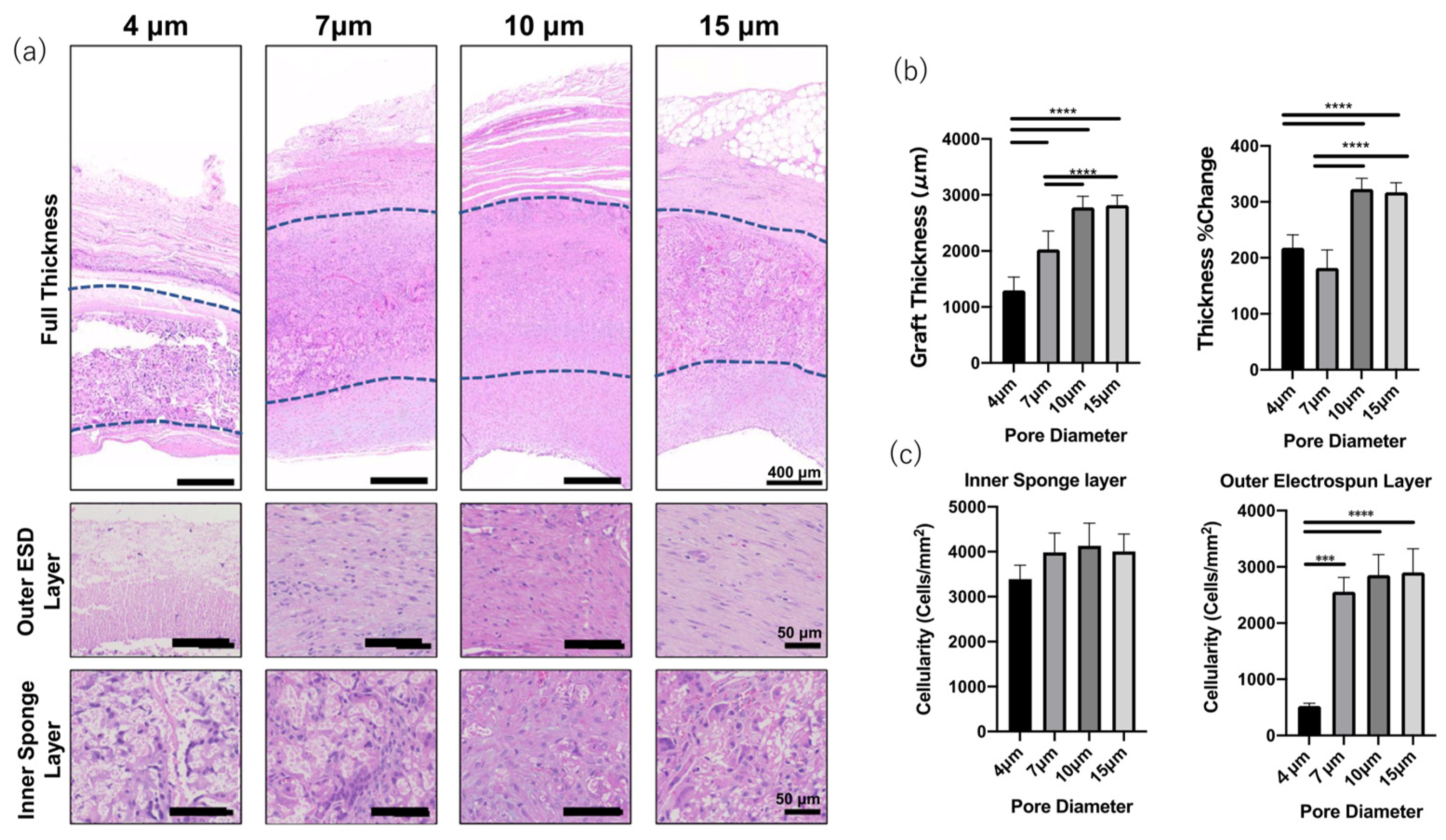 Bioengineering 10 00236 g002