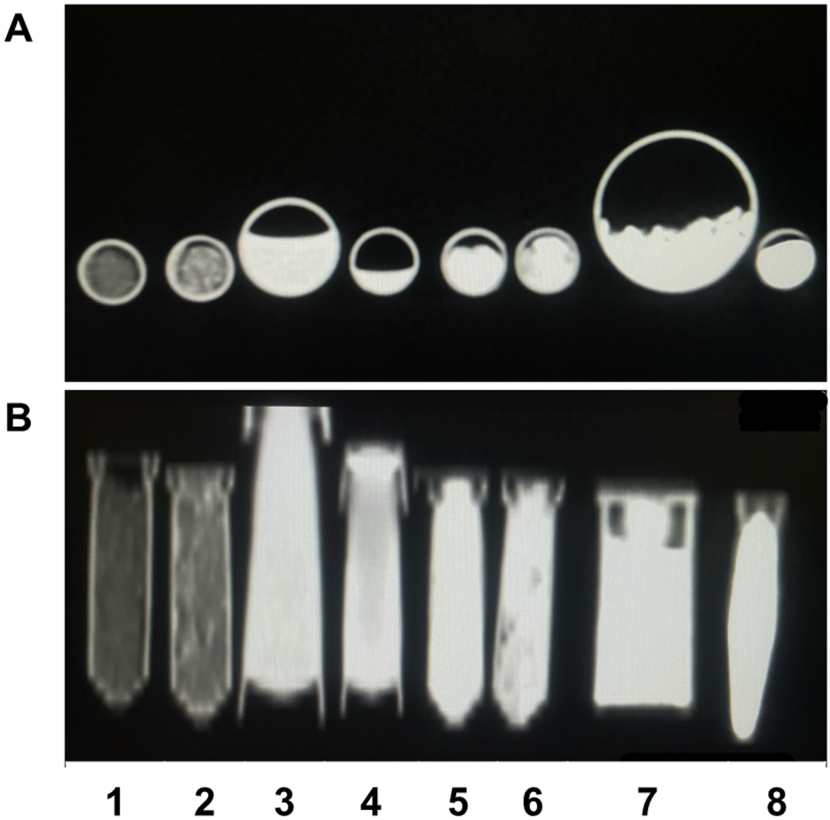 Bioengineering 10 00238 g002 Bioengineering 10 00238 g002