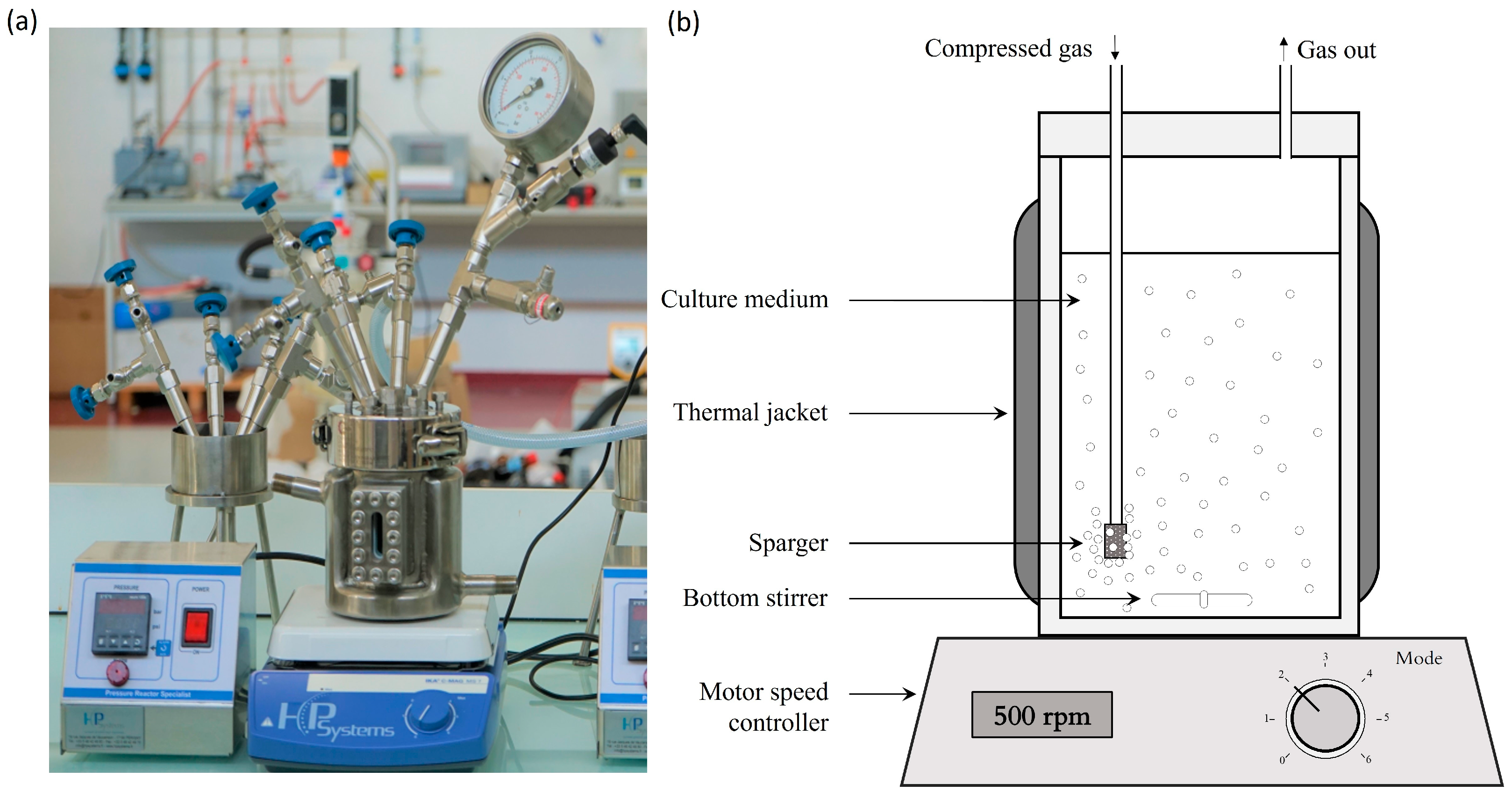 Bioengineering 10 00246 g001