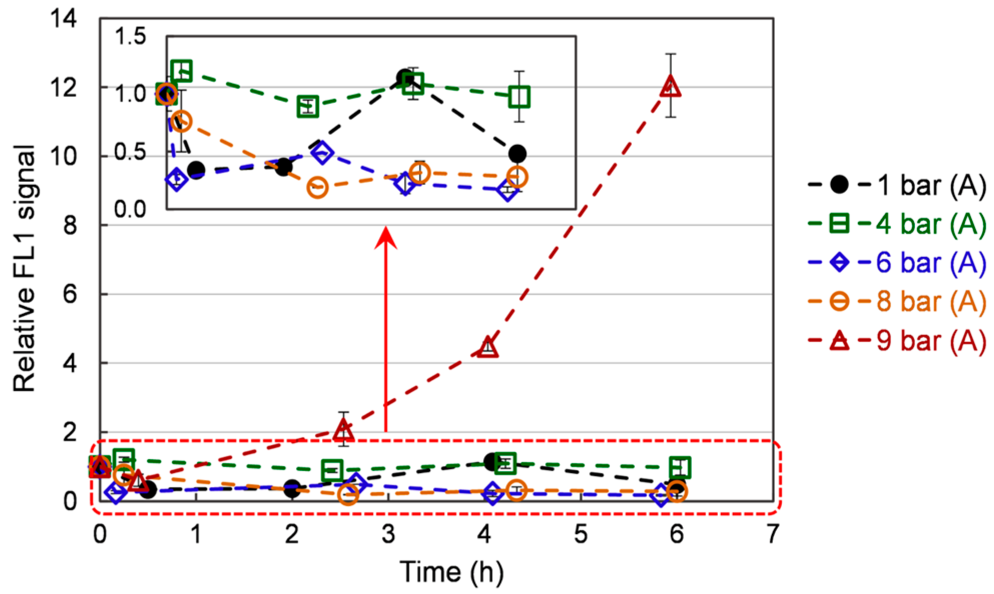 Bioengineering 10 00246 g004