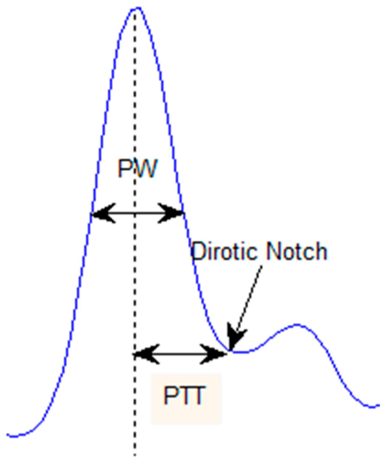 Bioengineering 10 00249 g003