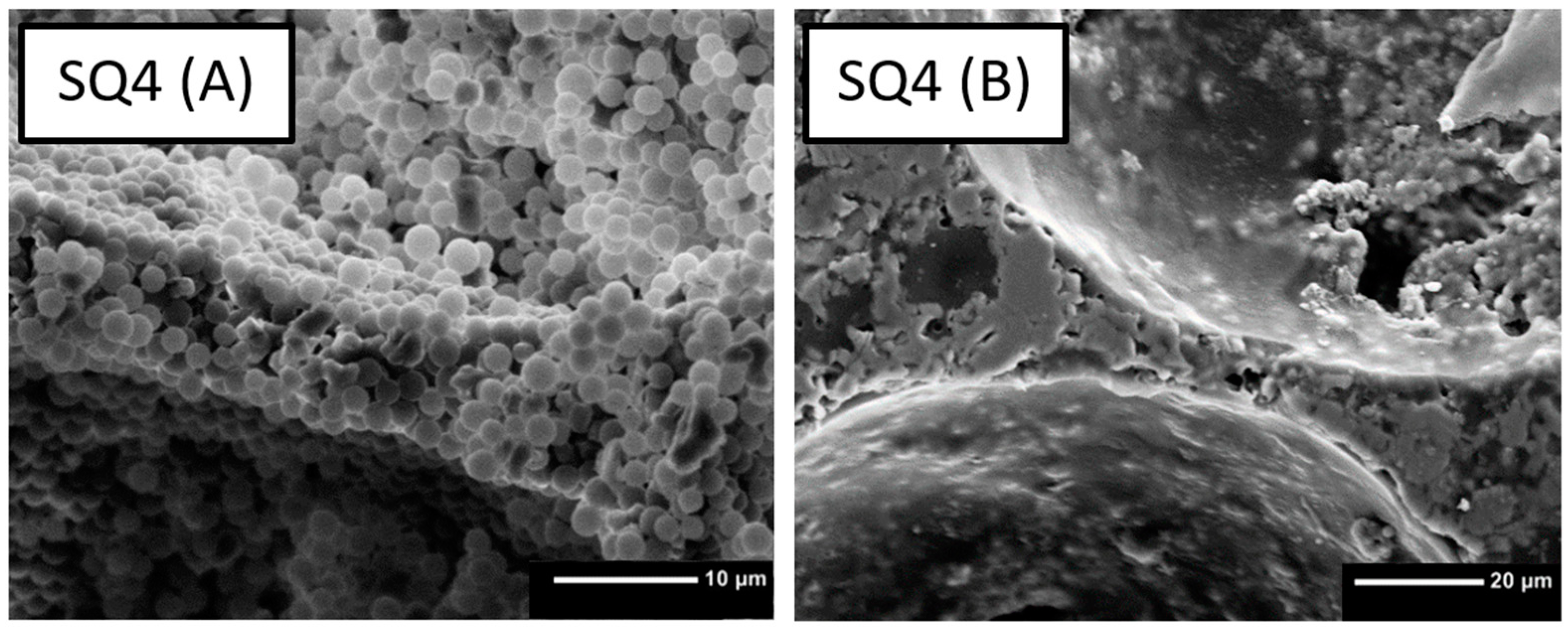 Bioengineering 10 00256 g004