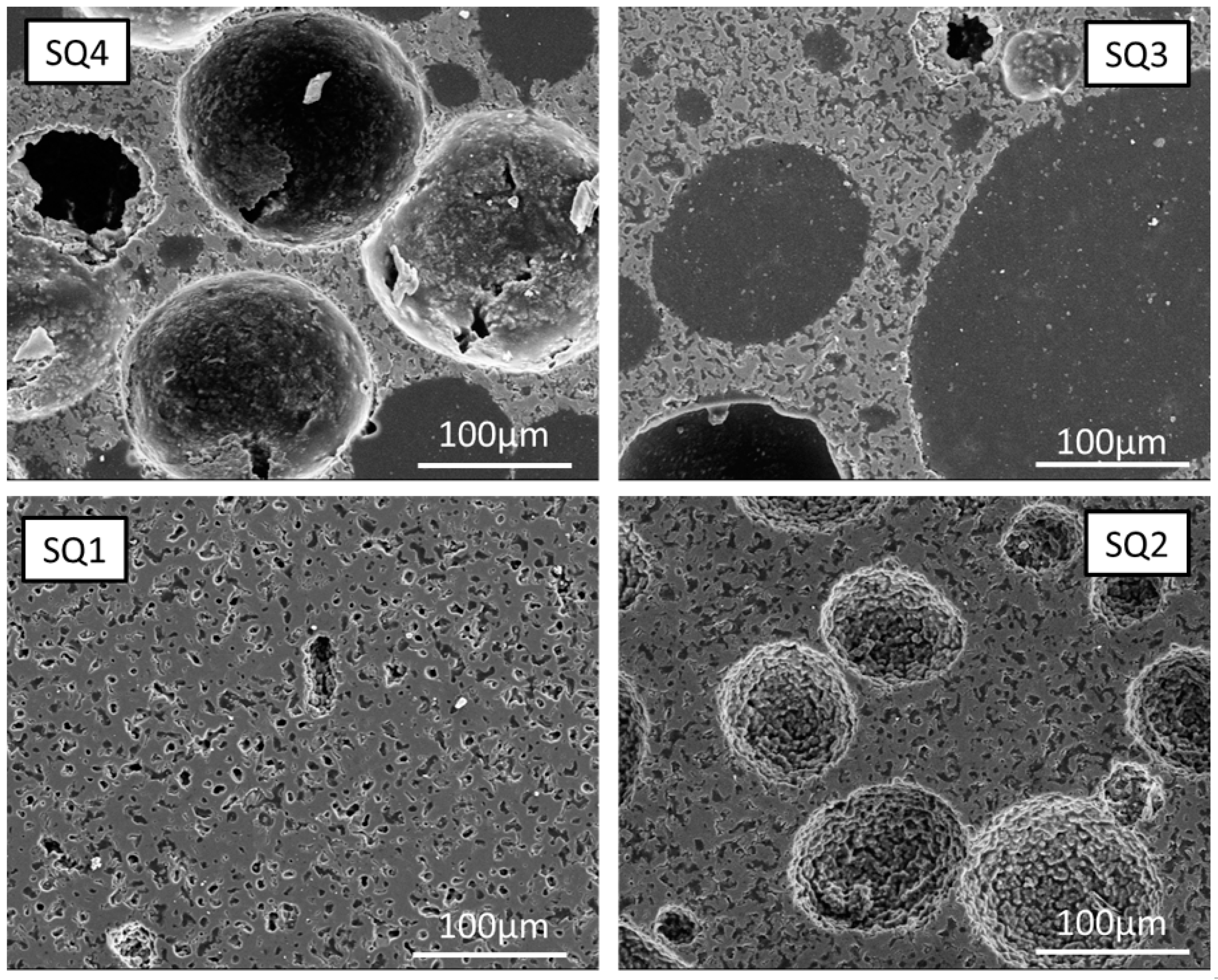 Bioengineering 10 00256 g005