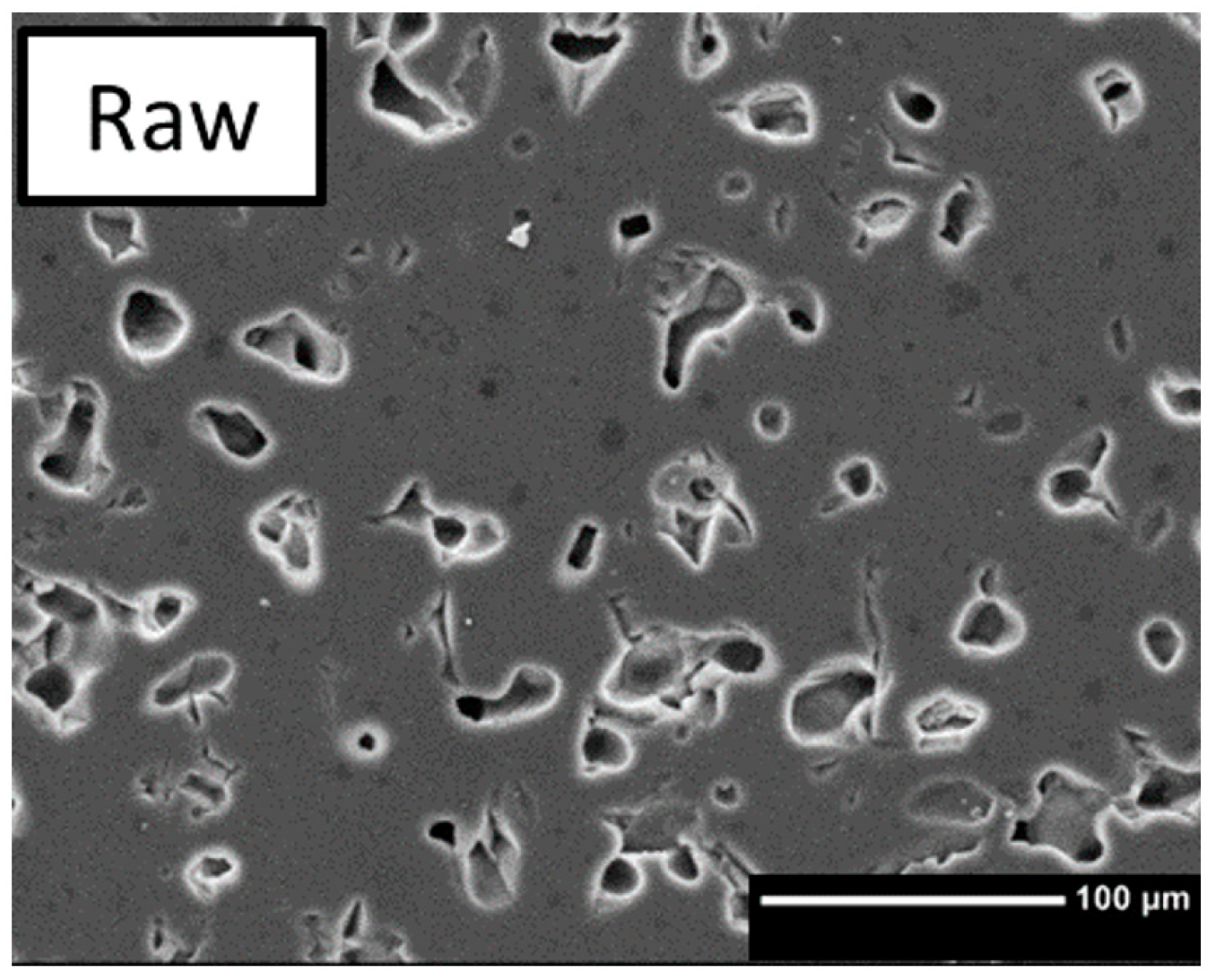 Bioengineering 10 00256 g006
