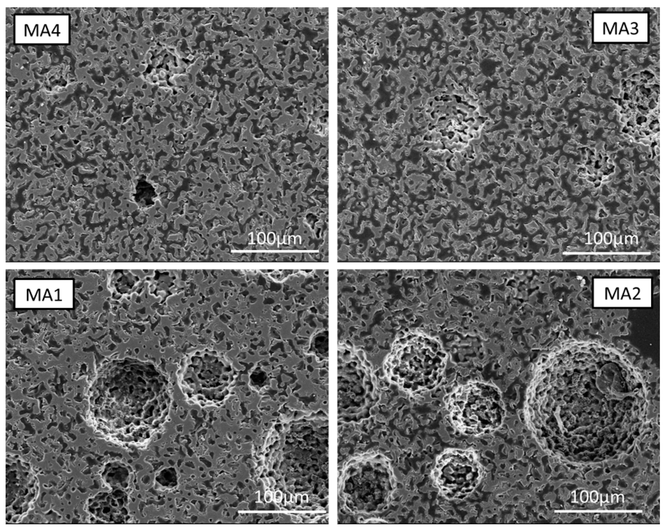 Bioengineering 10 00256 g007