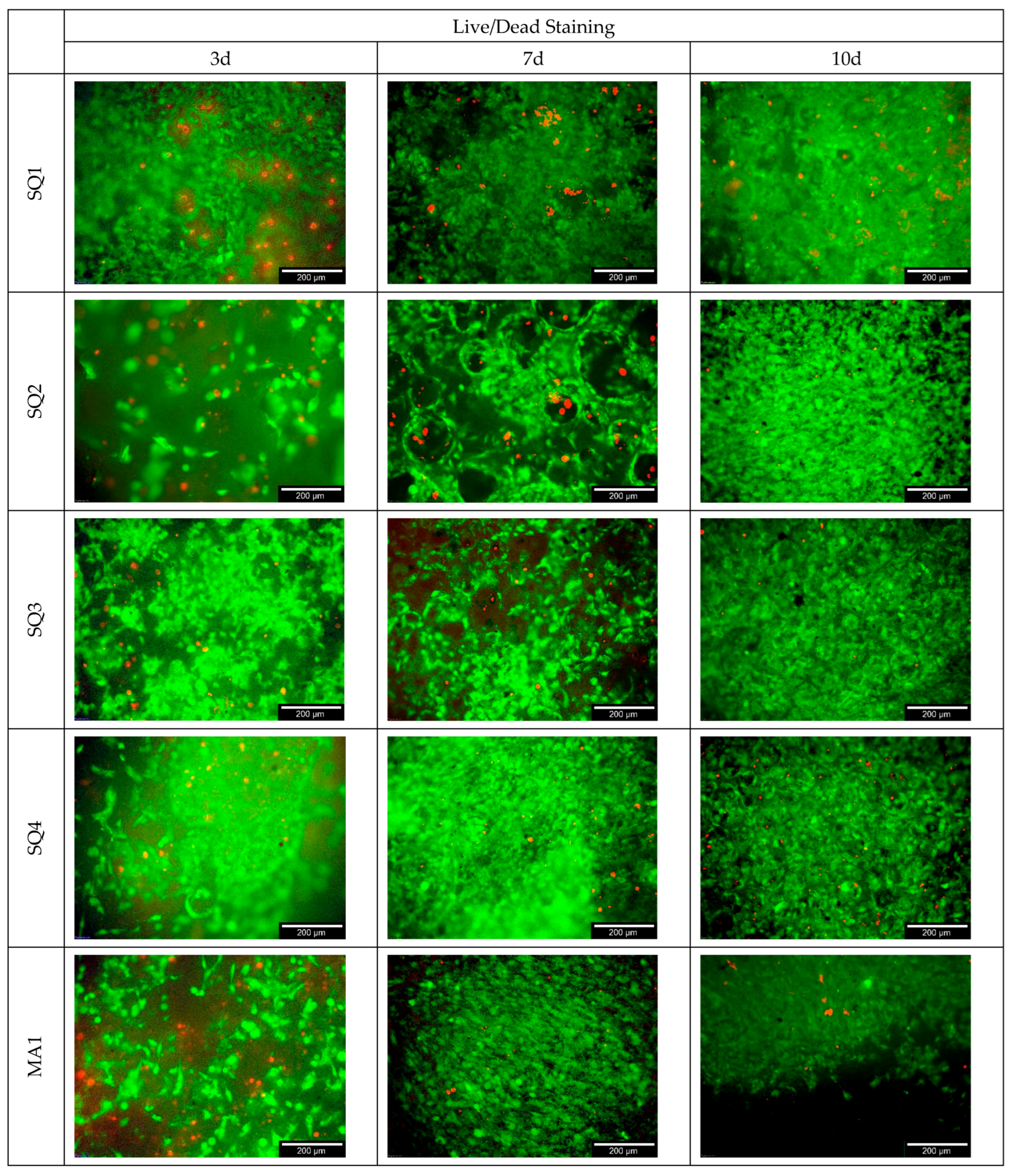 Bioengineering 10 00256 g010a