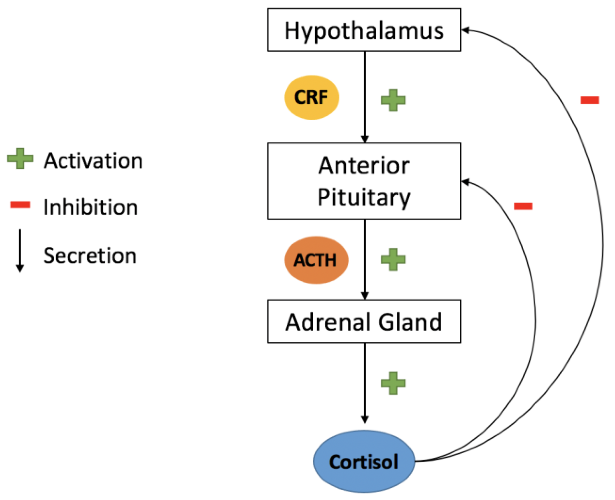 Bioengineering 10 00258 g002
