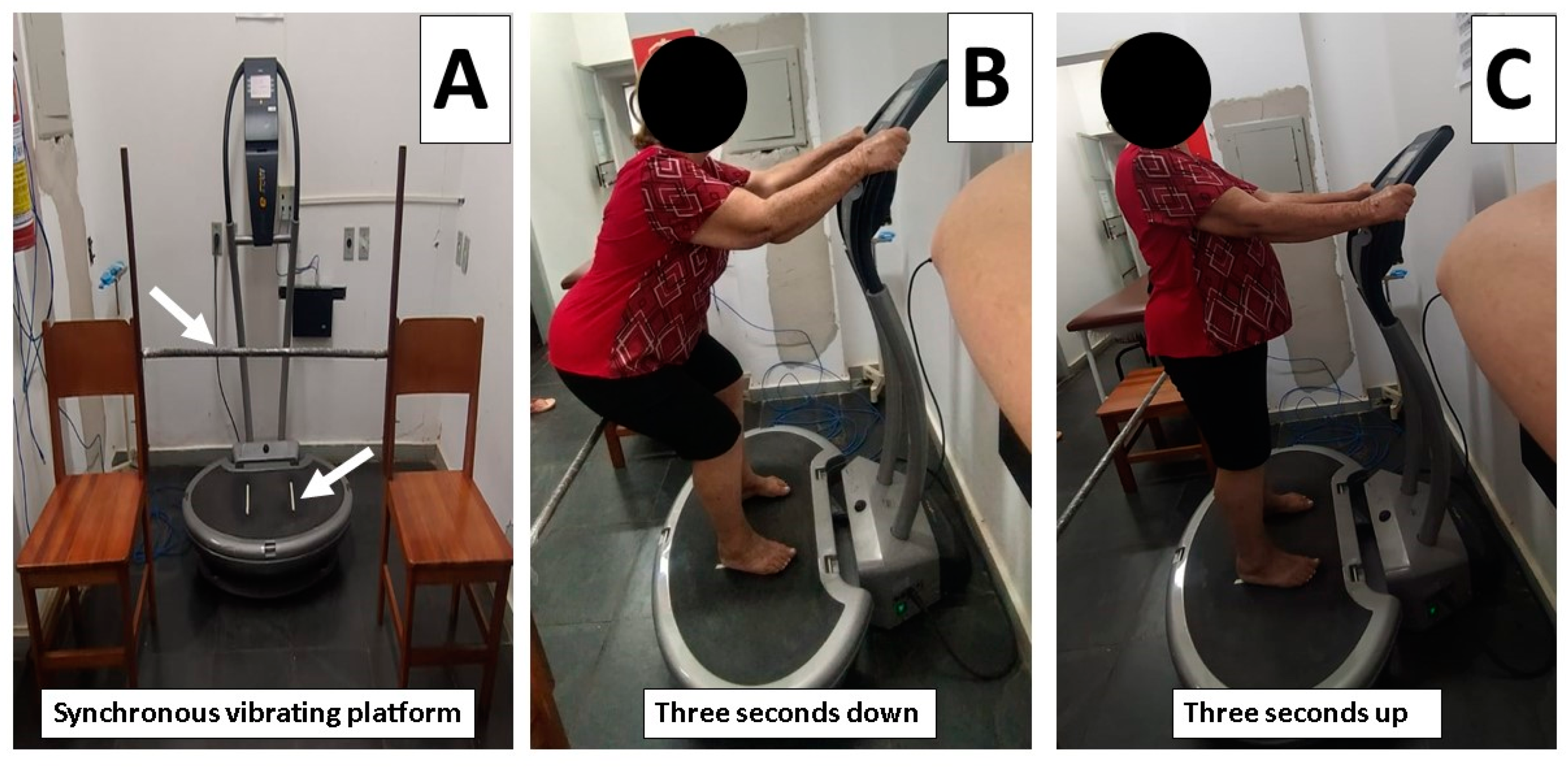 Bioengineering 10 00260 g002