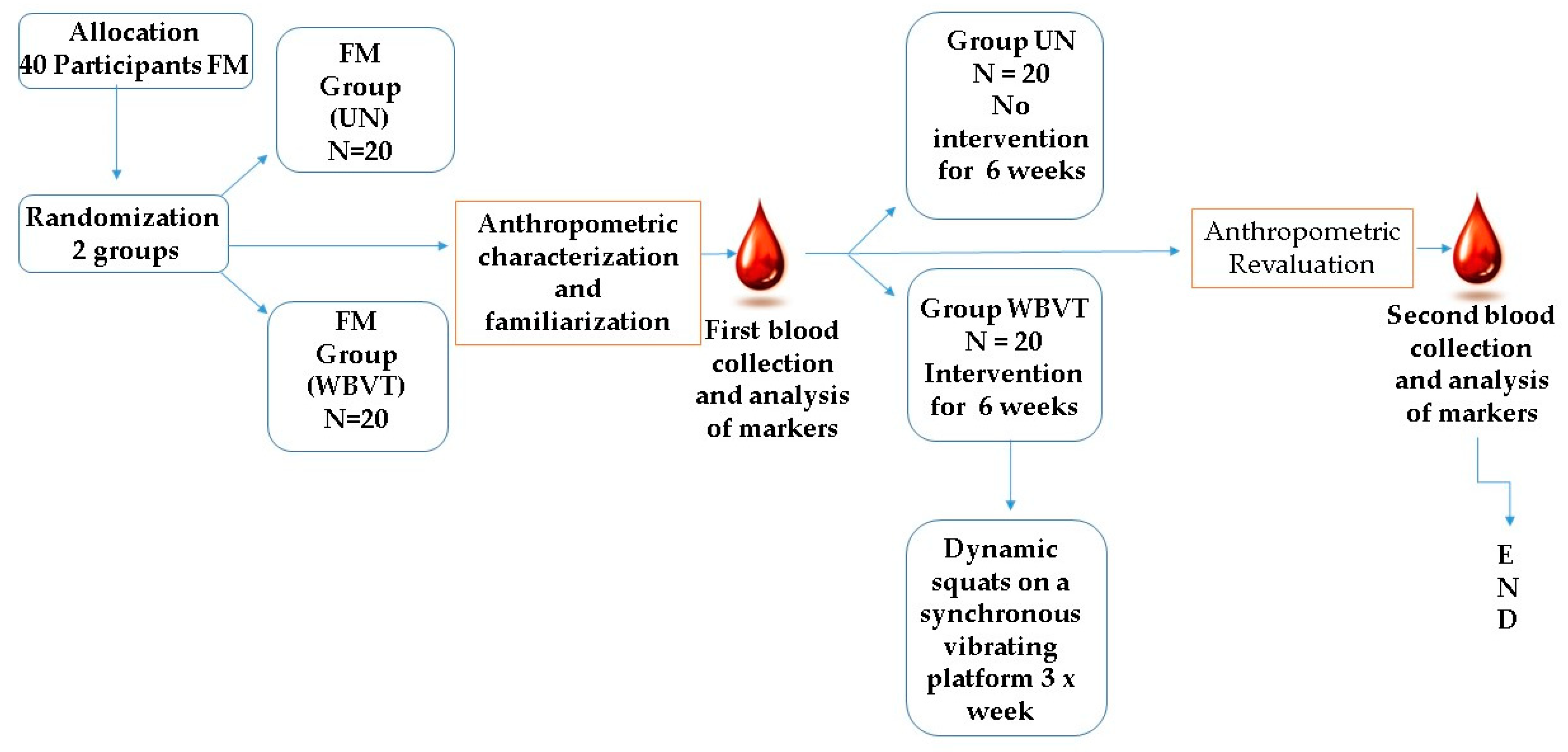 Bioengineering 10 00260 g003