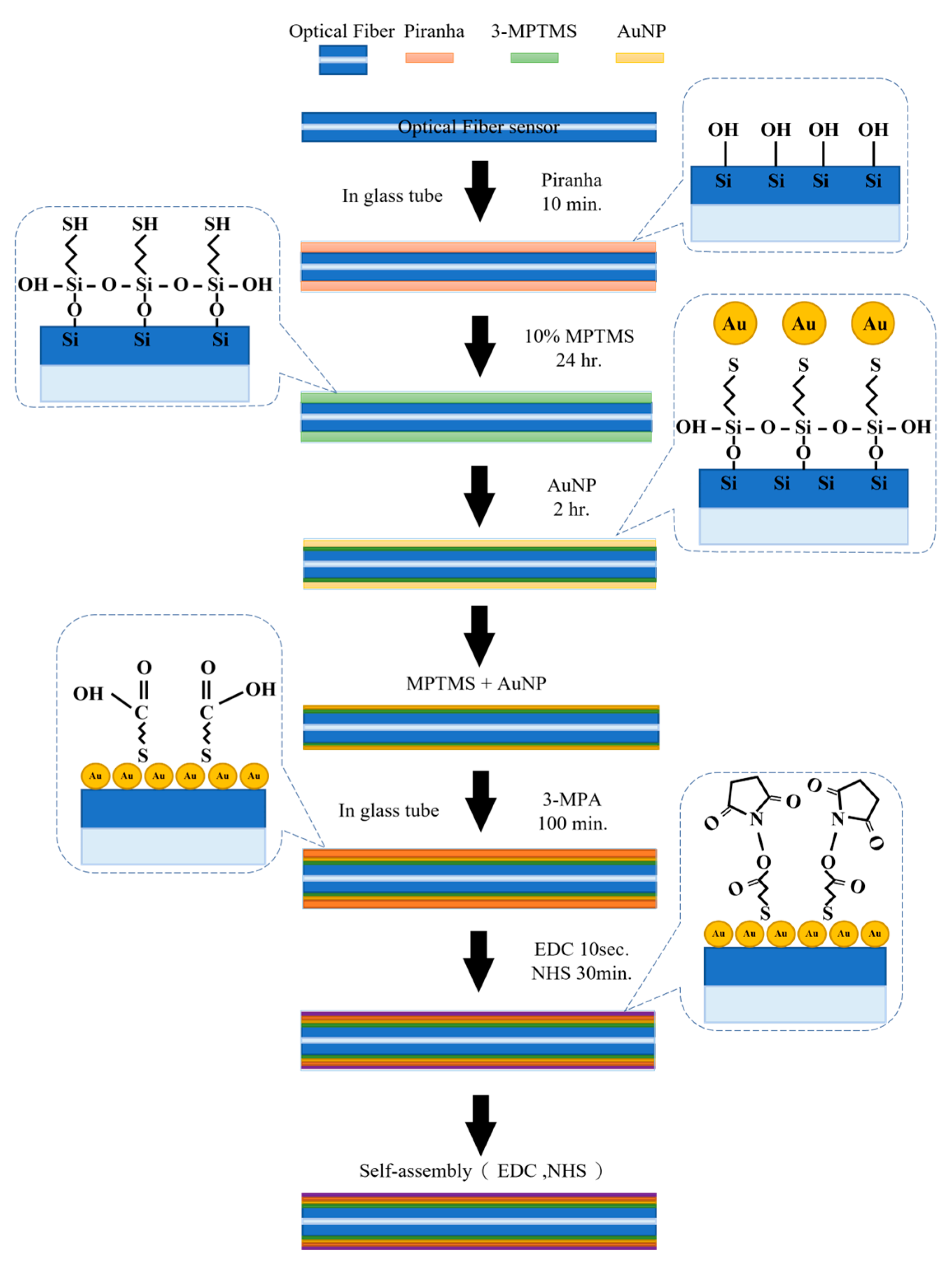 Bioengineering 10 00261 g003 Bioengineering 10 00261 g003