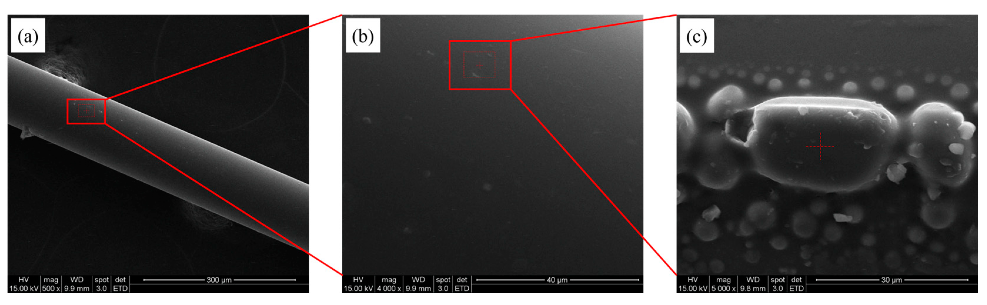 Bioengineering 10 00261 g004 Bioengineering 10 00261 g004