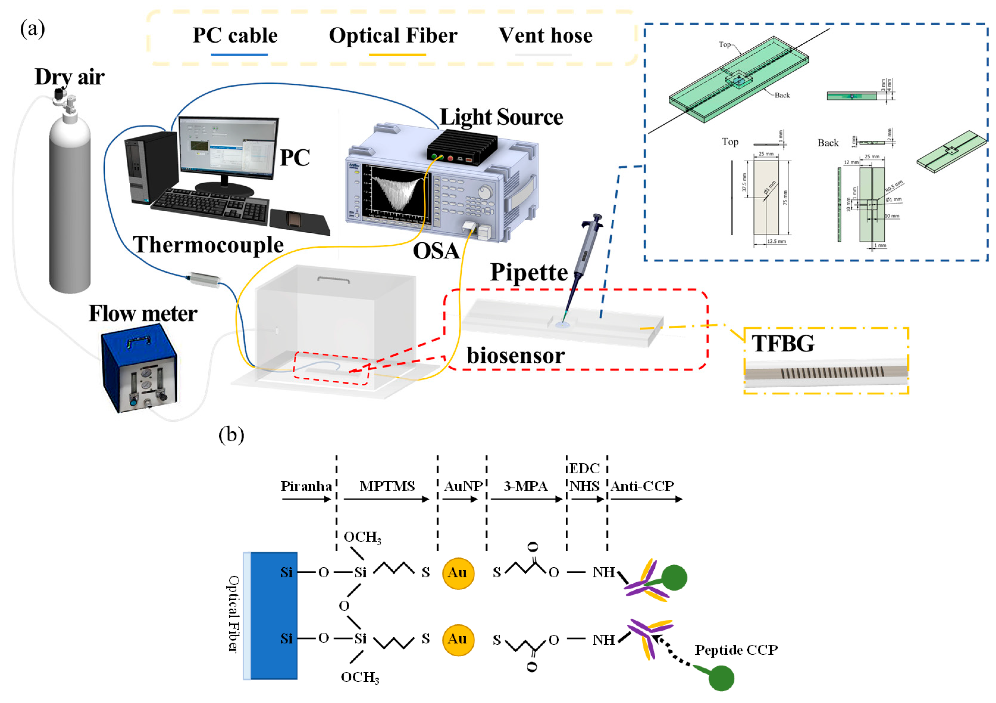 Bioengineering 10 00261 g005 Bioengineering 10 00261 g005