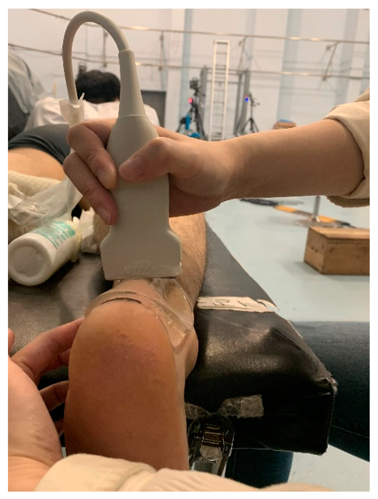 Bioengineering 10 00264 g001