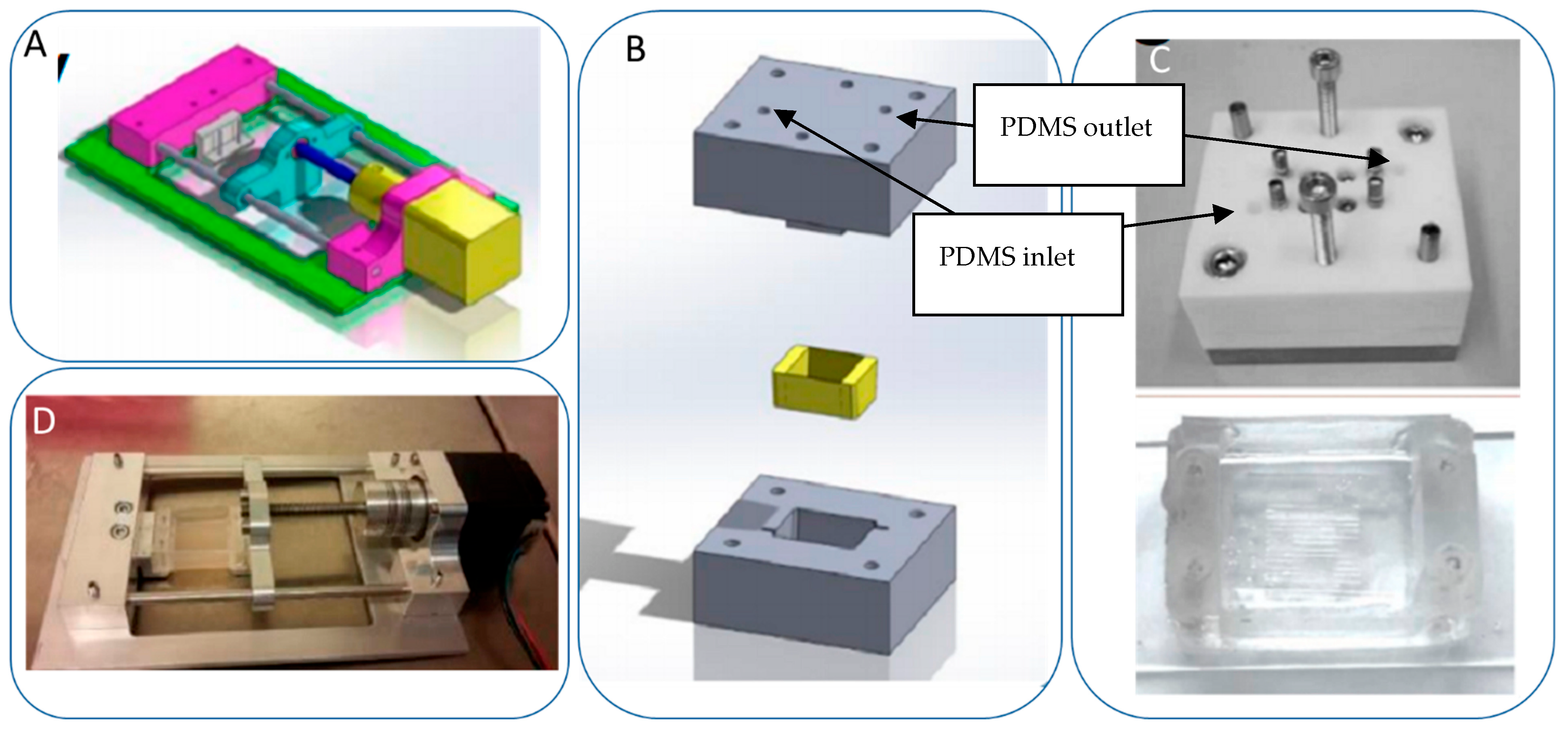 Bioengineering 10 00266 g002