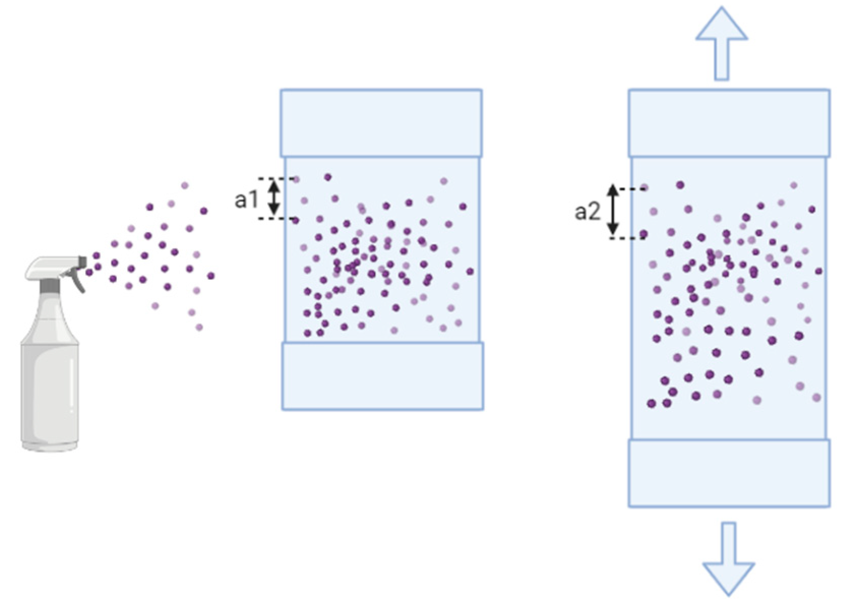 Bioengineering 10 00266 g003