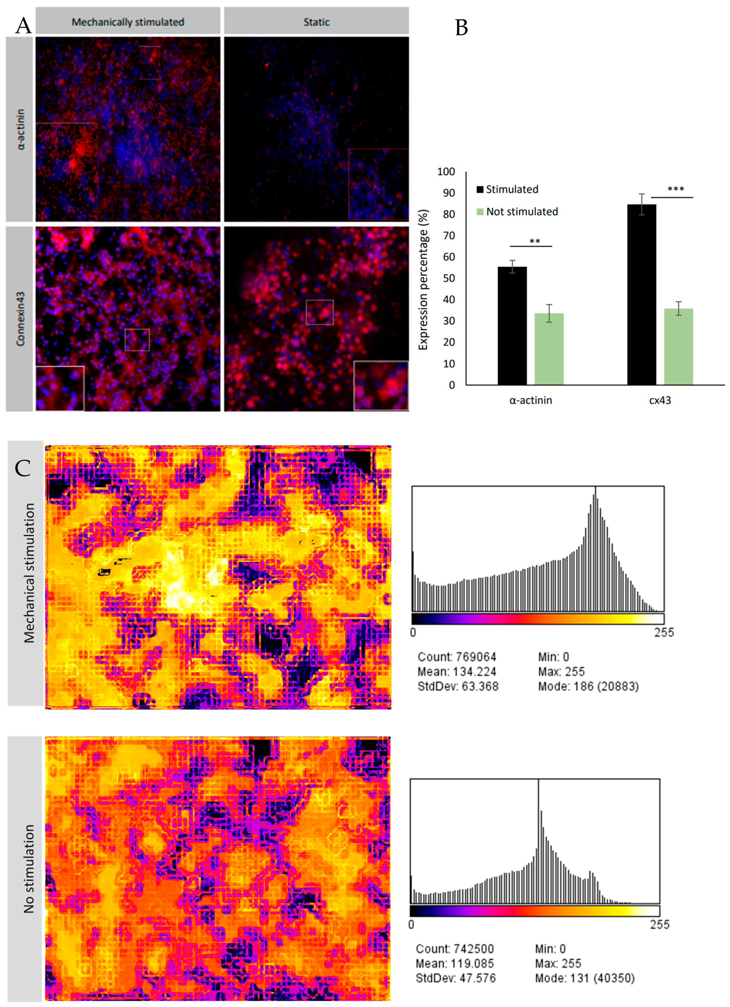 Bioengineering 10 00266 g006a