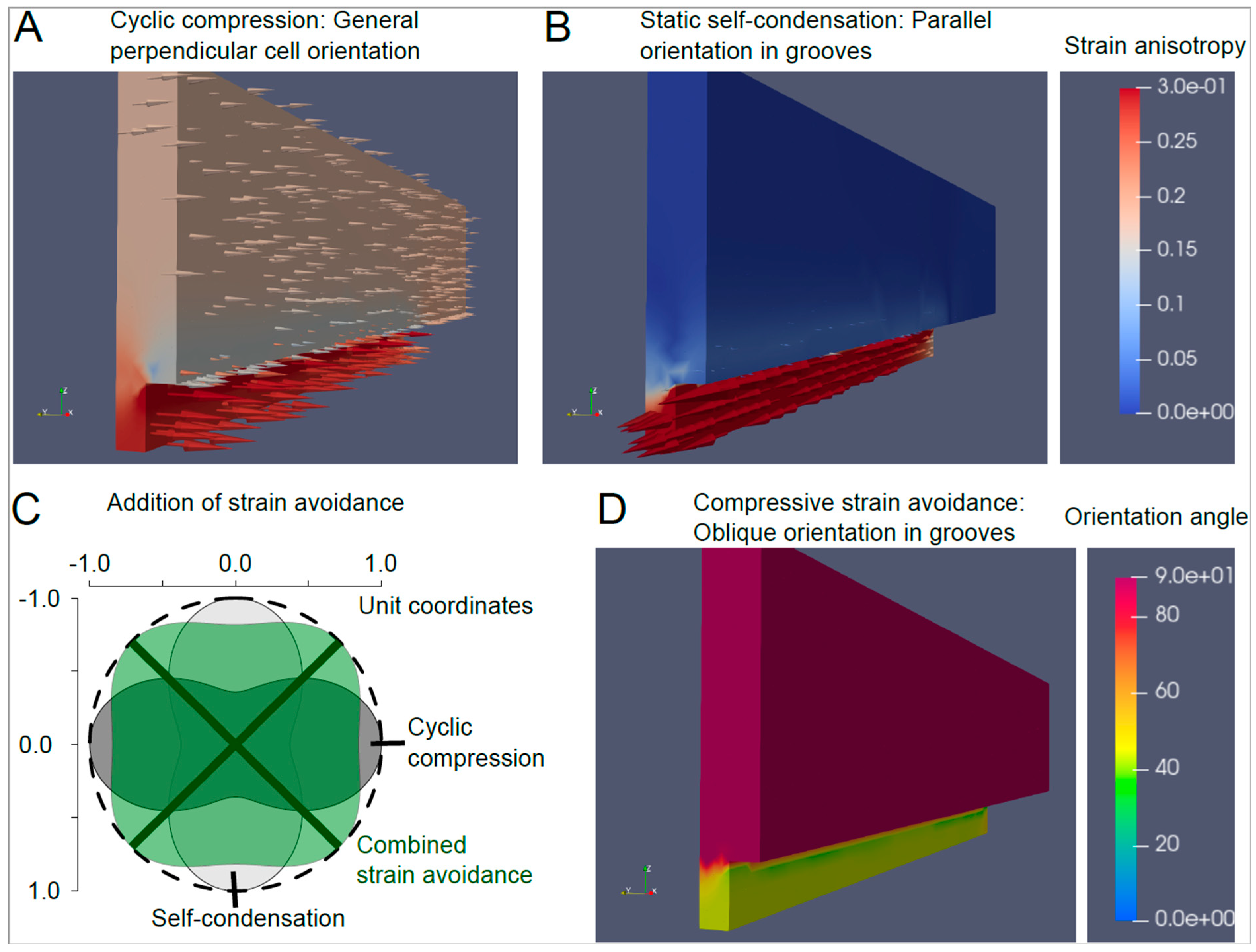 Bioengineering 10 00266 g007