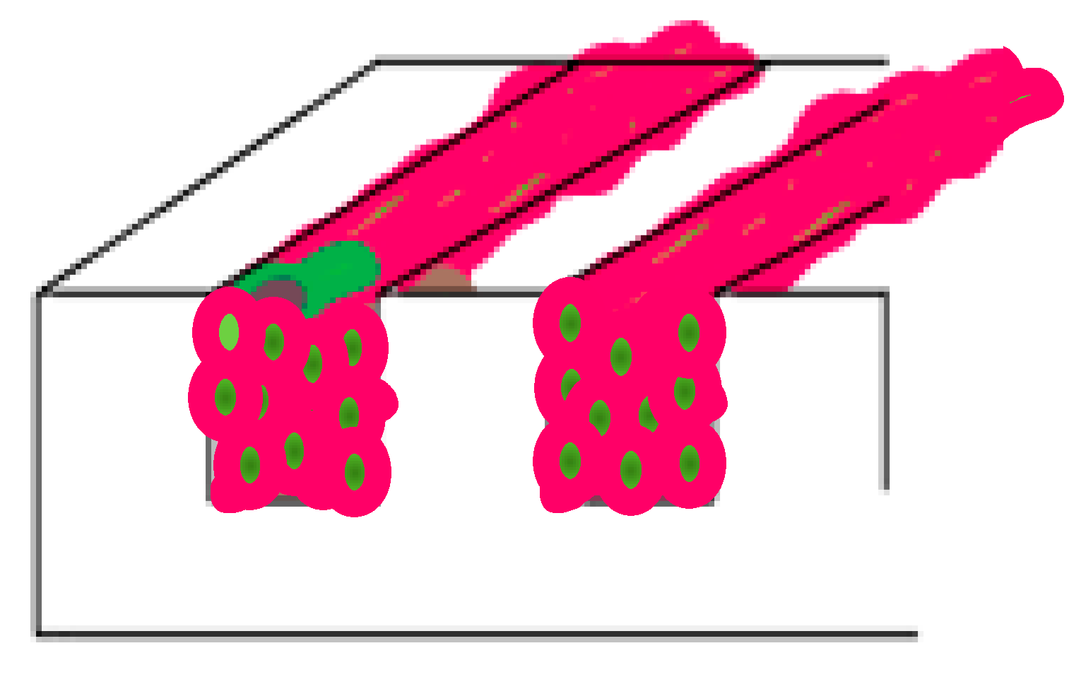 Bioengineering 10 00266 i001