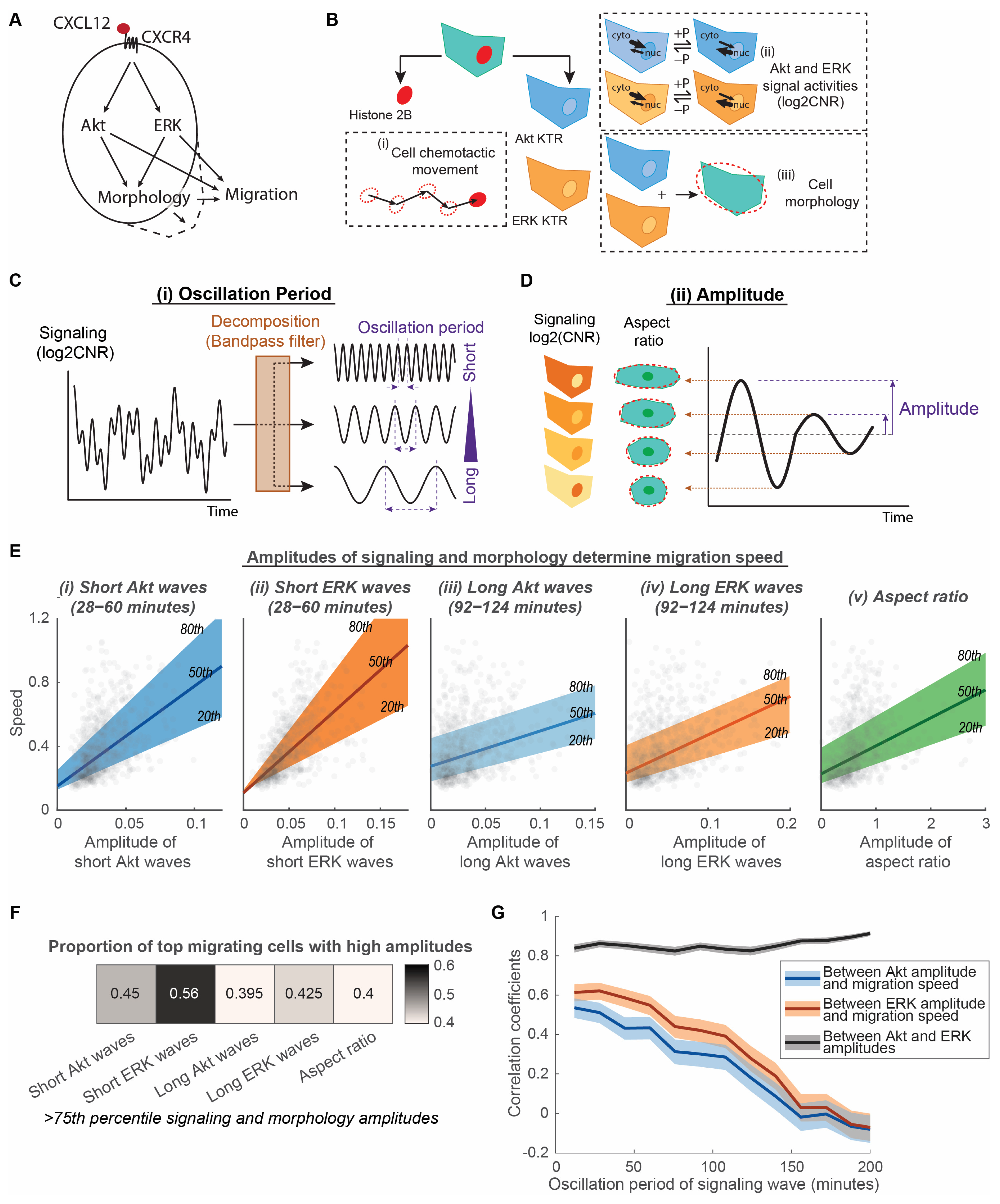 Bioengineering 10 00269 g001 Bioengineering 10 00269 g001