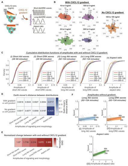 The ERK Signal Transduction Pathway: R&D Systems