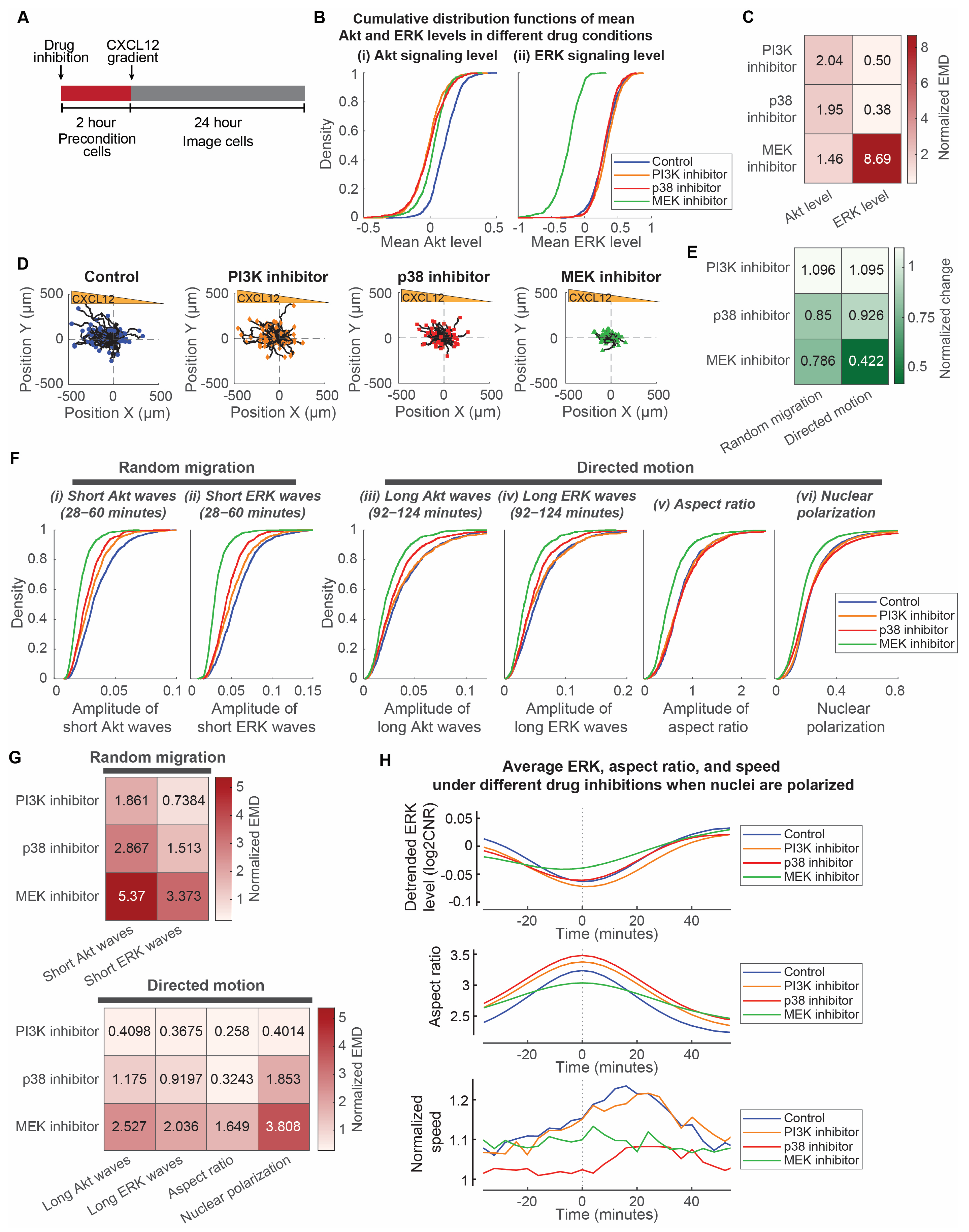 Bioengineering 10 00269 g005 Bioengineering 10 00269 g005