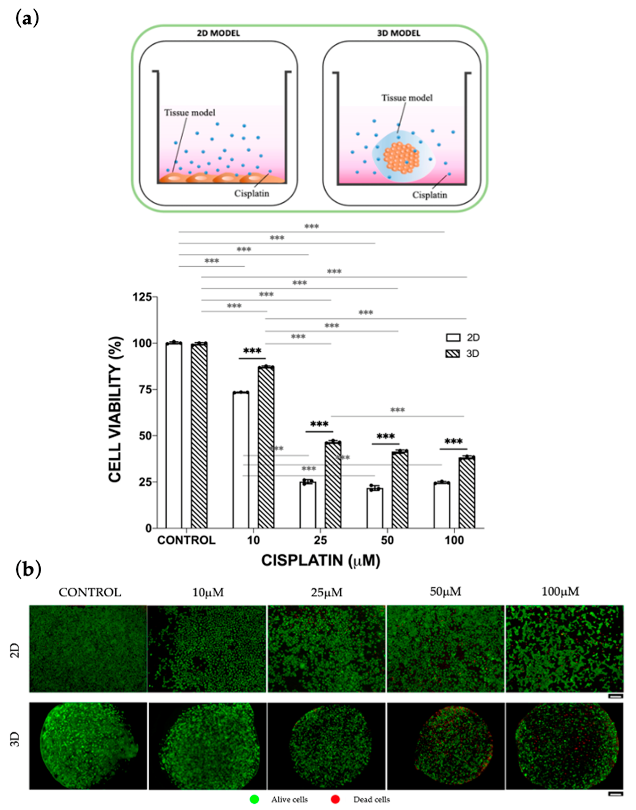 Bioengineering 10 00270 g001 Bioengineering 10 00270 g001