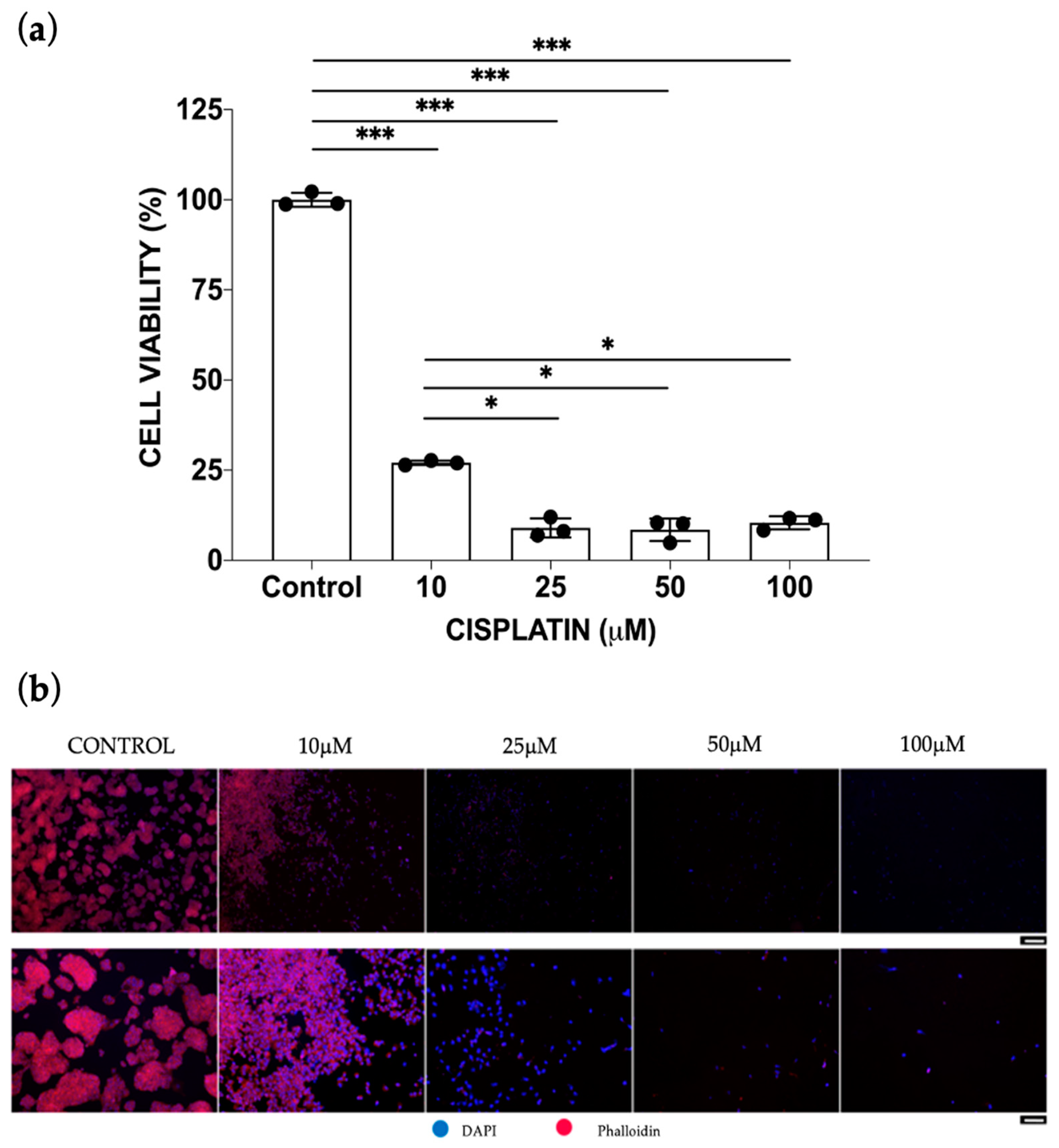 Bioengineering 10 00270 g002 Bioengineering 10 00270 g002