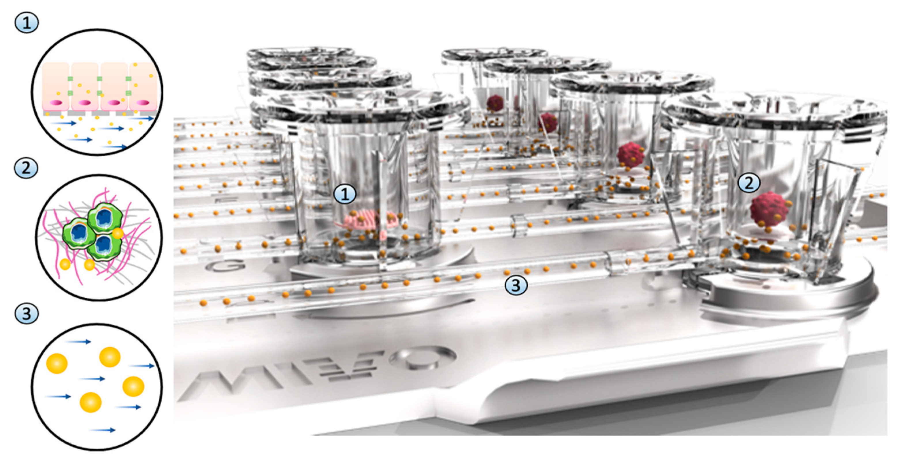 Bioengineering 10 00270 g006 Bioengineering 10 00270 g006