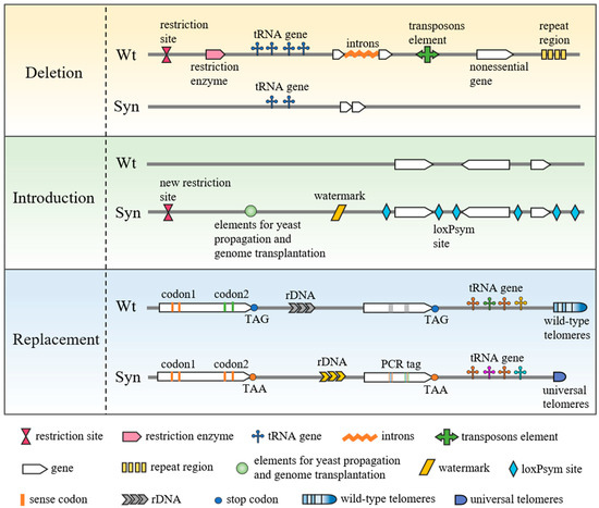「1234」 Digital twin-inspired methods for rotating machinery