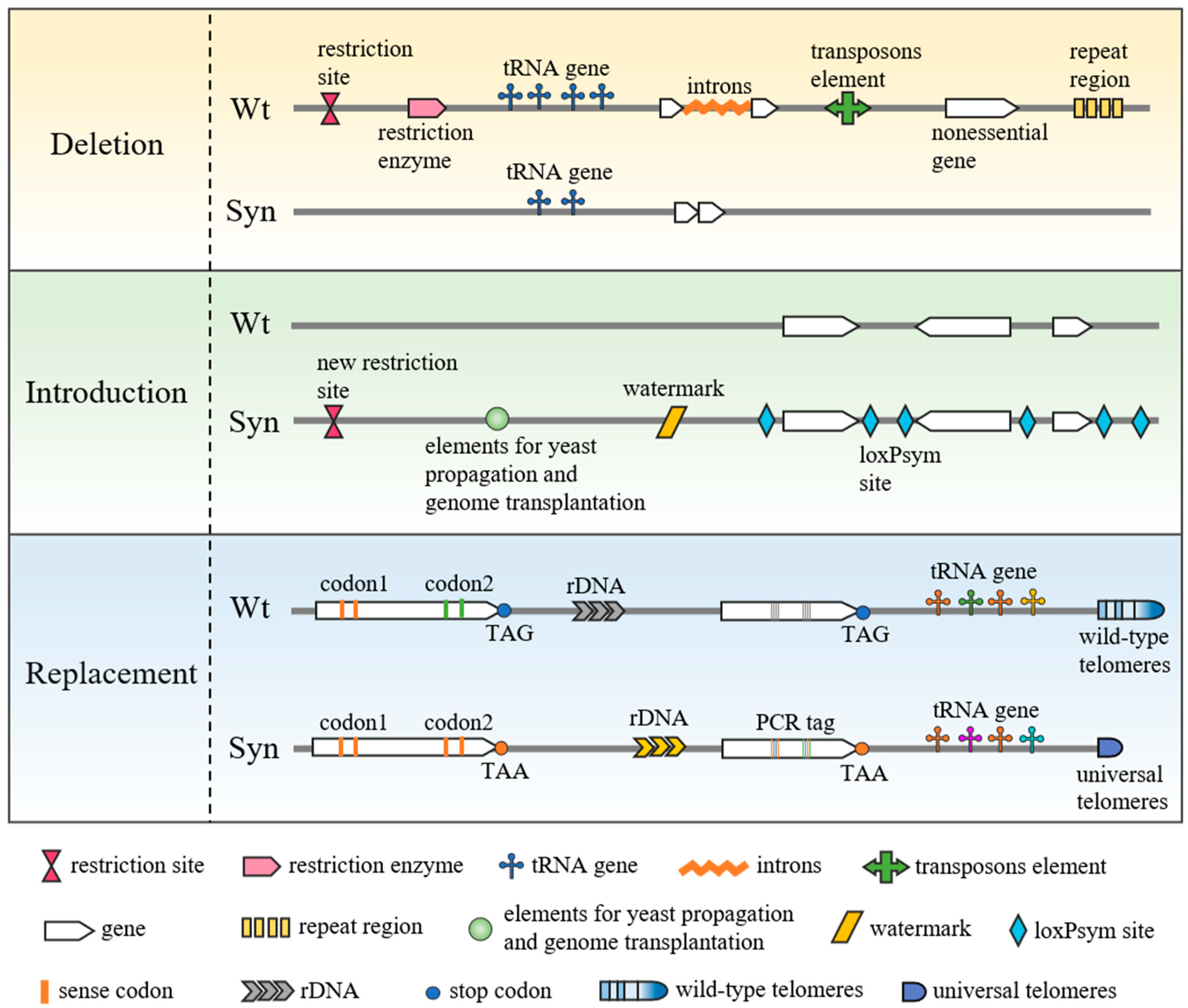 Bioengineering 10 00271 g001