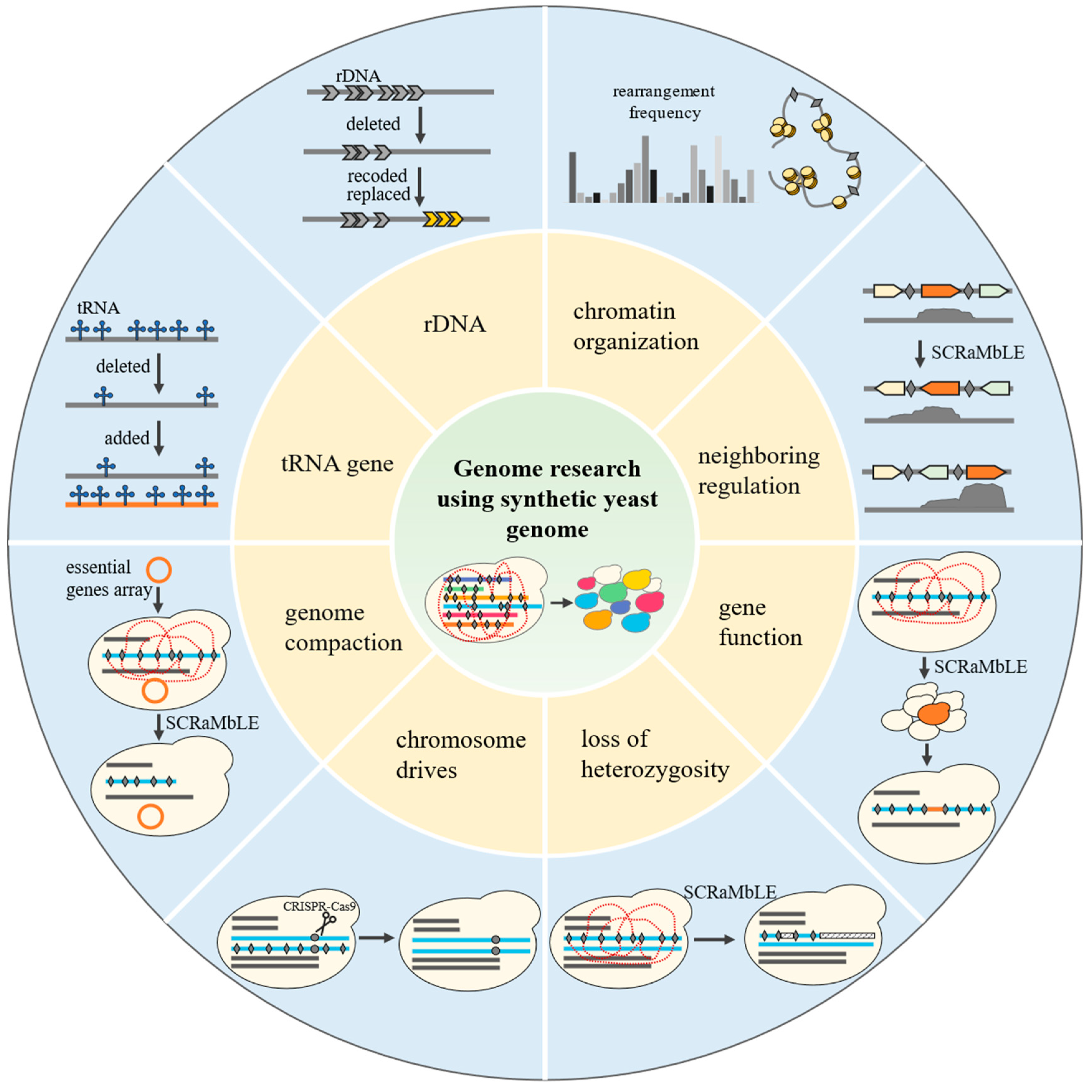 Bioengineering 10 00271 g004