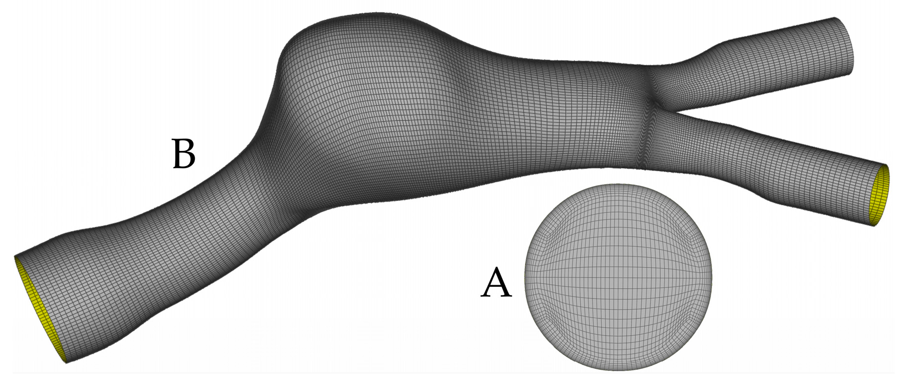 Bioengineering 10 00272 g001 Bioengineering 10 00272 g001