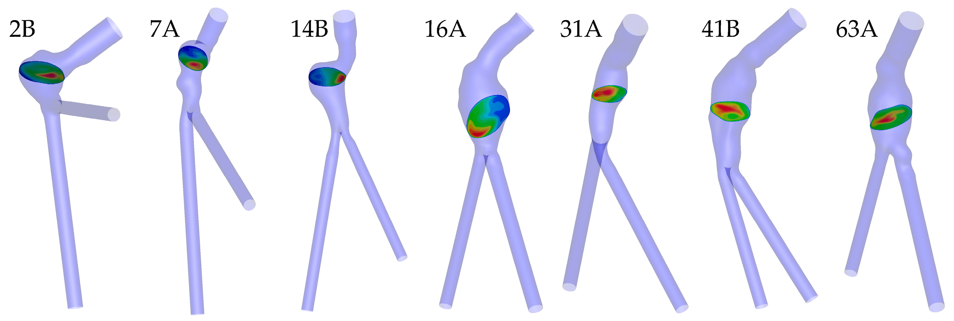 Bioengineering 10 00272 g004 Bioengineering 10 00272 g004