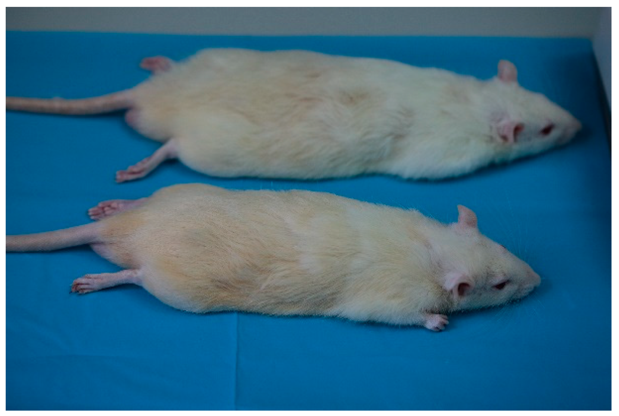 Bioengineering 10 00273 g001