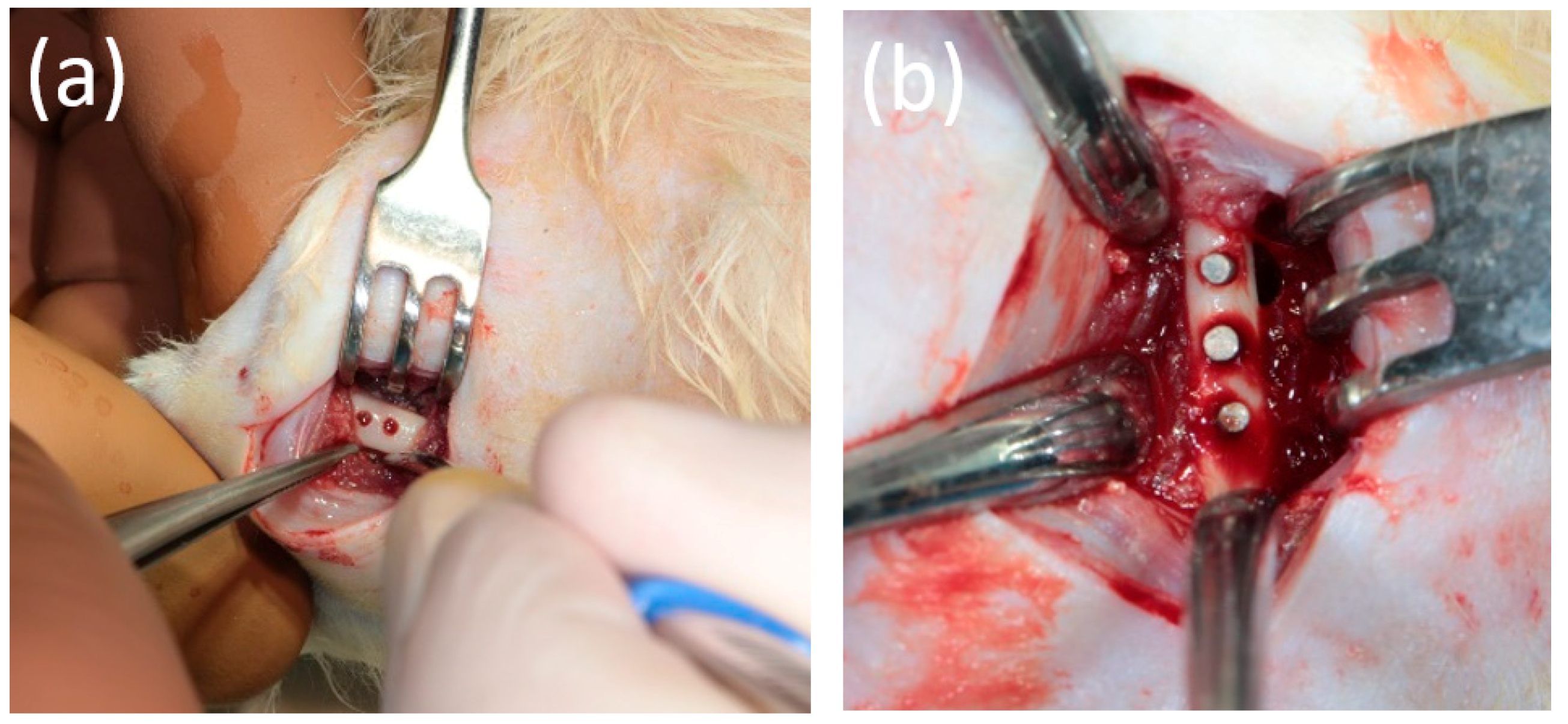 Bioengineering 10 00273 g003