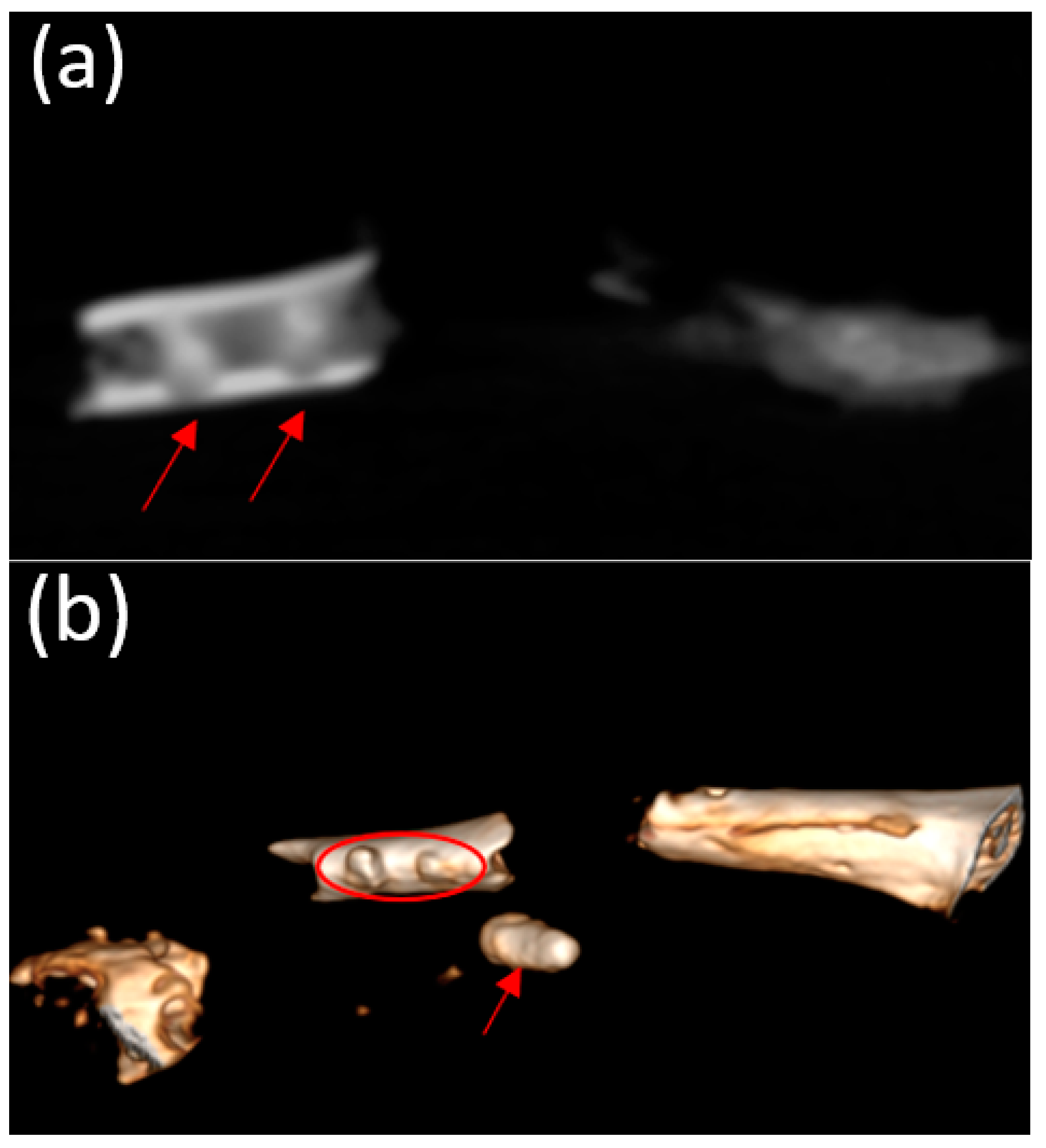Bioengineering 10 00273 g008
