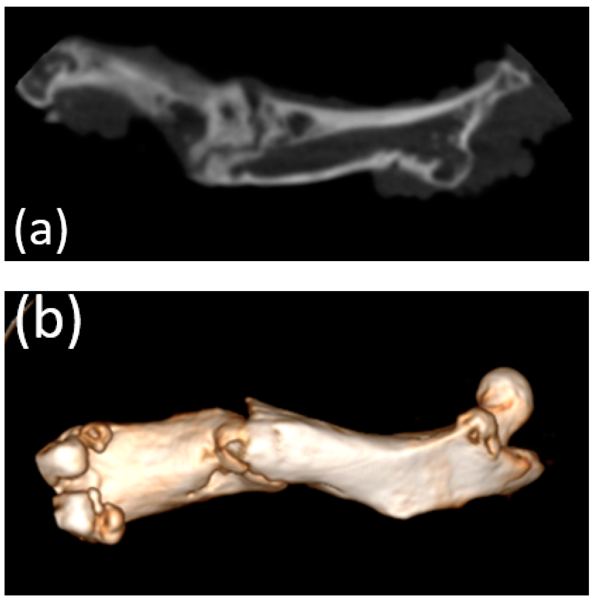 Bioengineering 10 00273 g009