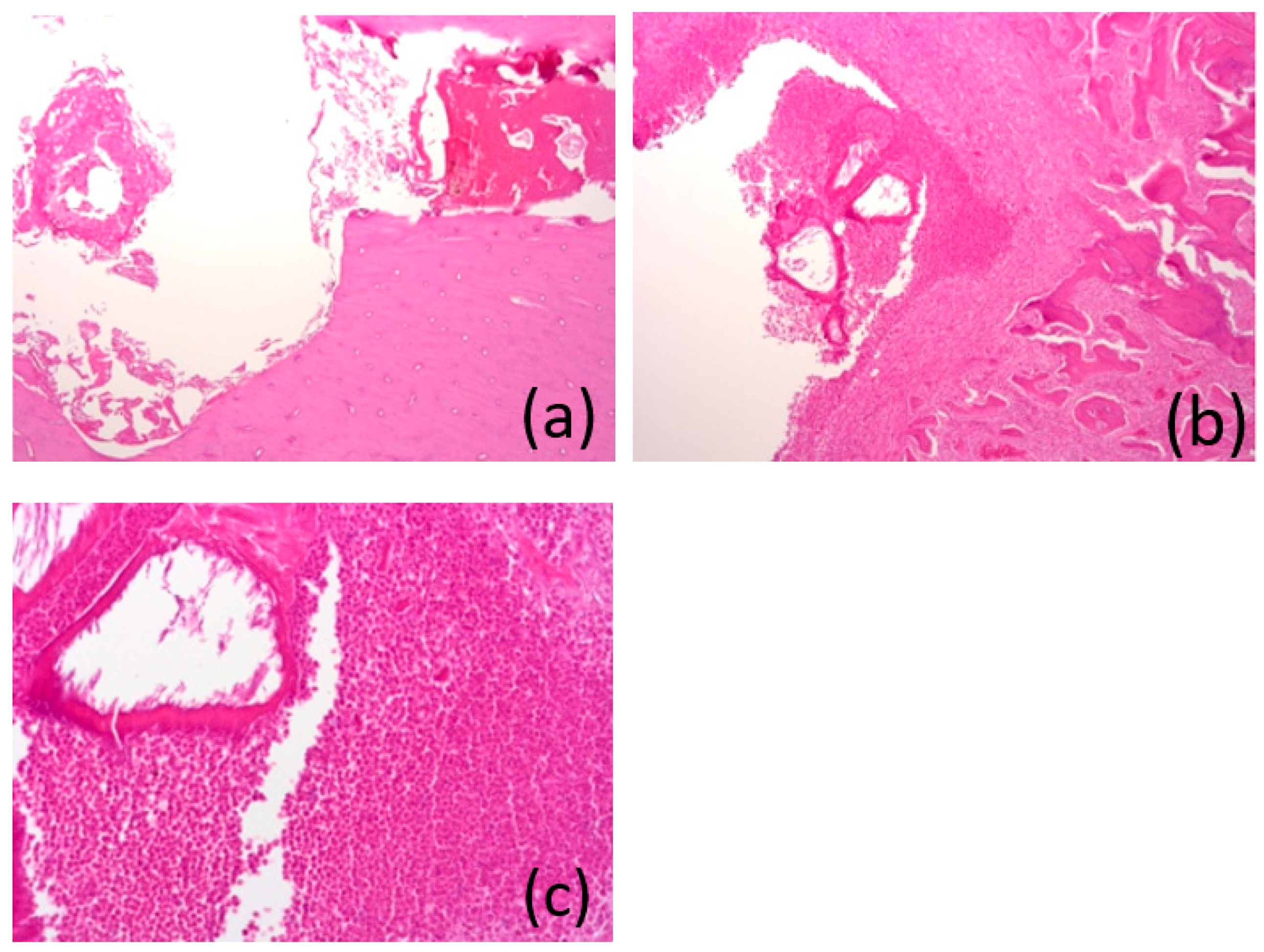 Bioengineering 10 00273 g015